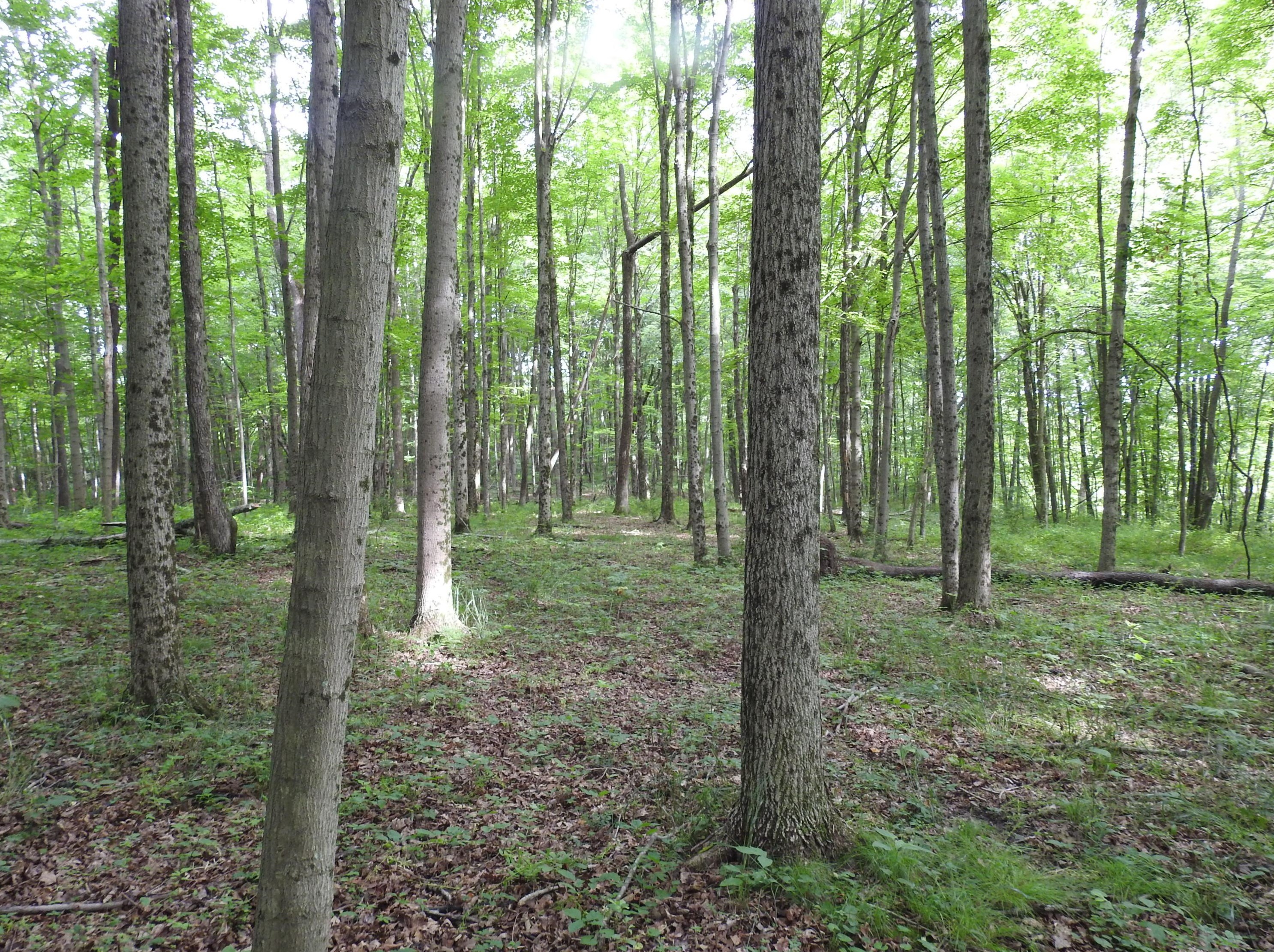 10863 16th Rd, Stoutsville OH  43154-9547 exterior