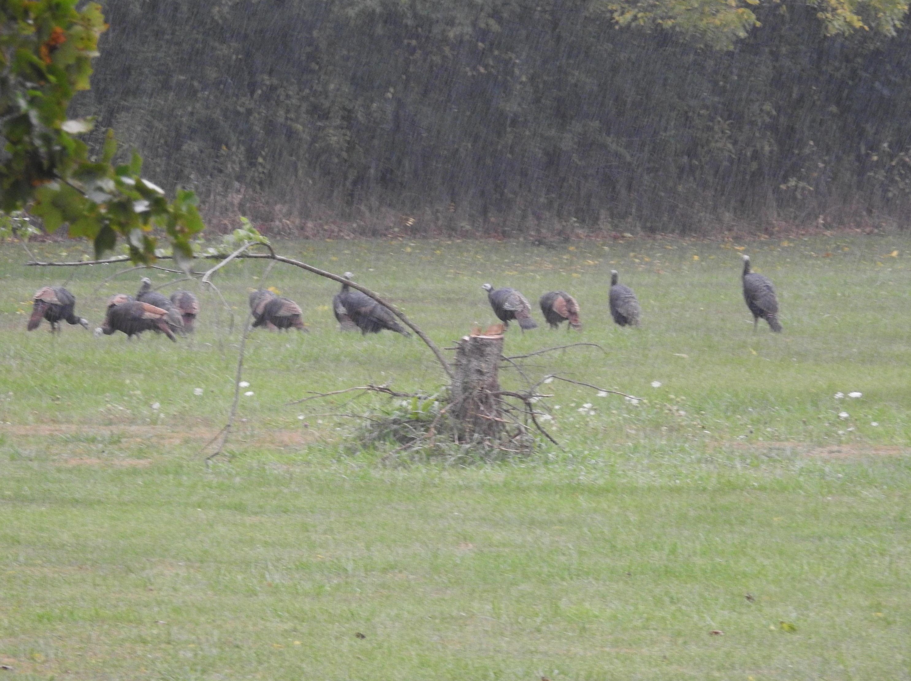 10863 16th Rd, Stoutsville OH  43154-9547 exterior