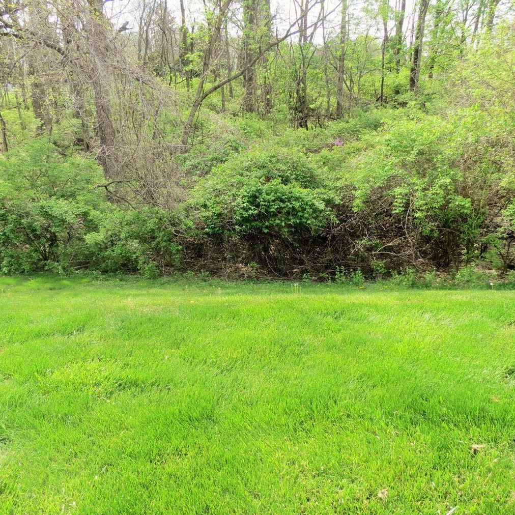 3213 Summerdale Ln, Columbus OH  43221-4627 exterior