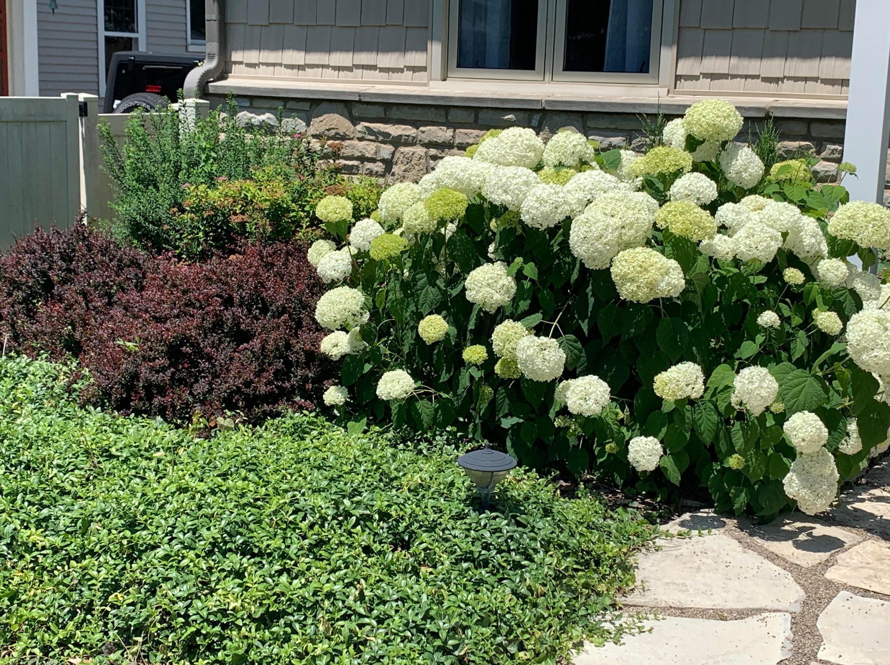 390 Dunedin Rd, Columbus OH  43214-3806 exterior