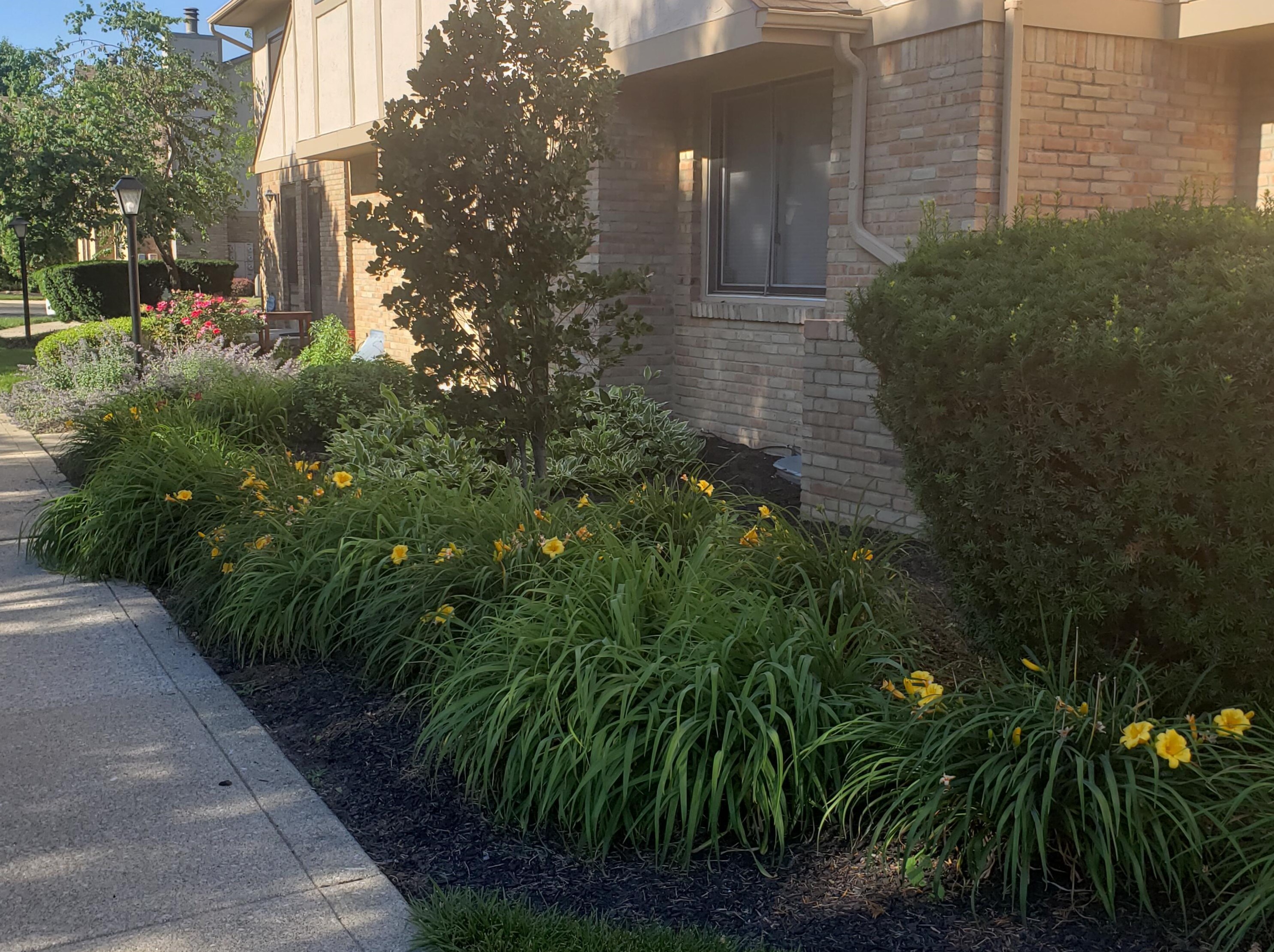 5239 Olgate Ln, Columbus, OH 43220-2577