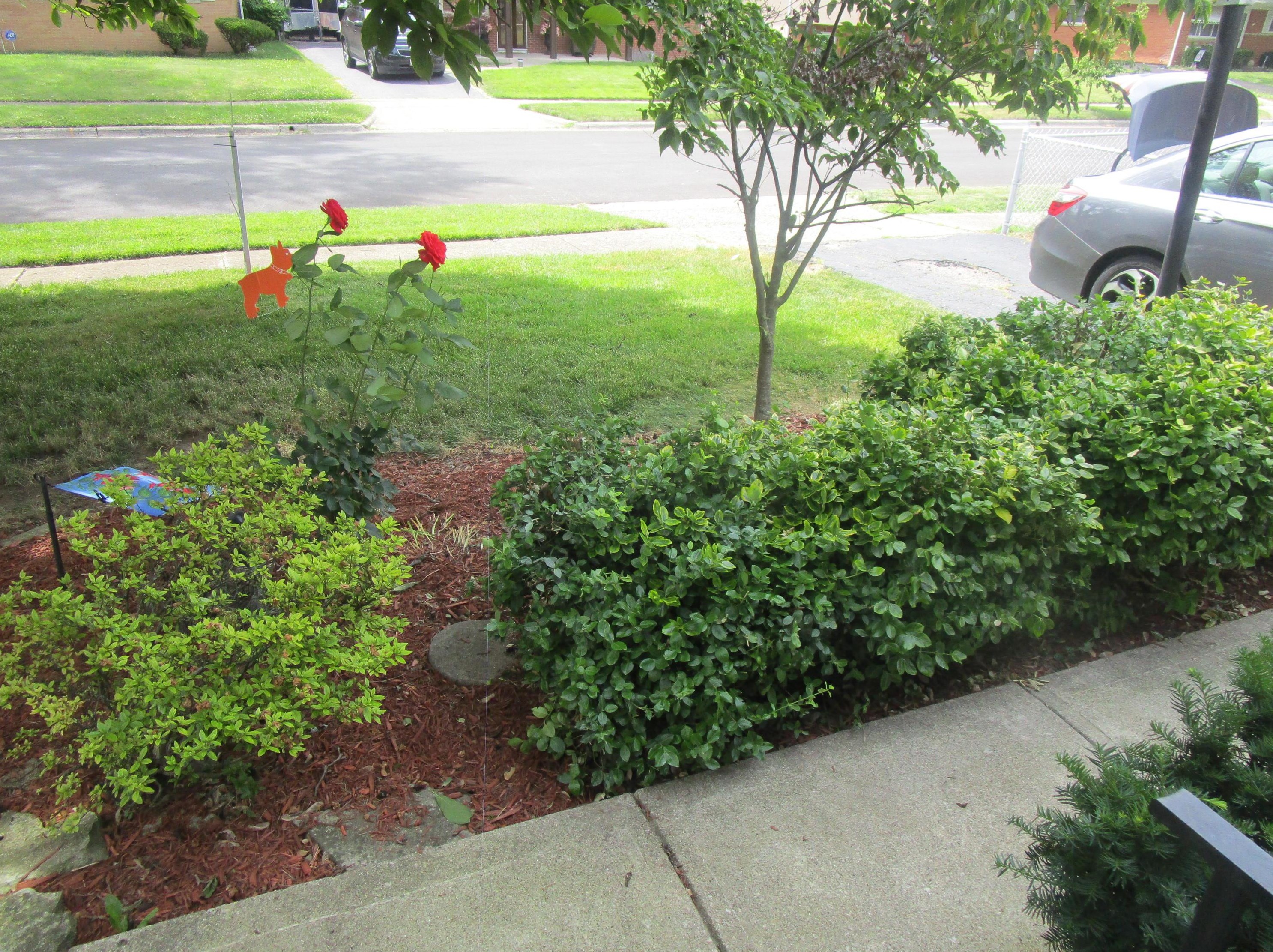 3736 Dorothy Dr, Columbus OH 43224-2621 exterior