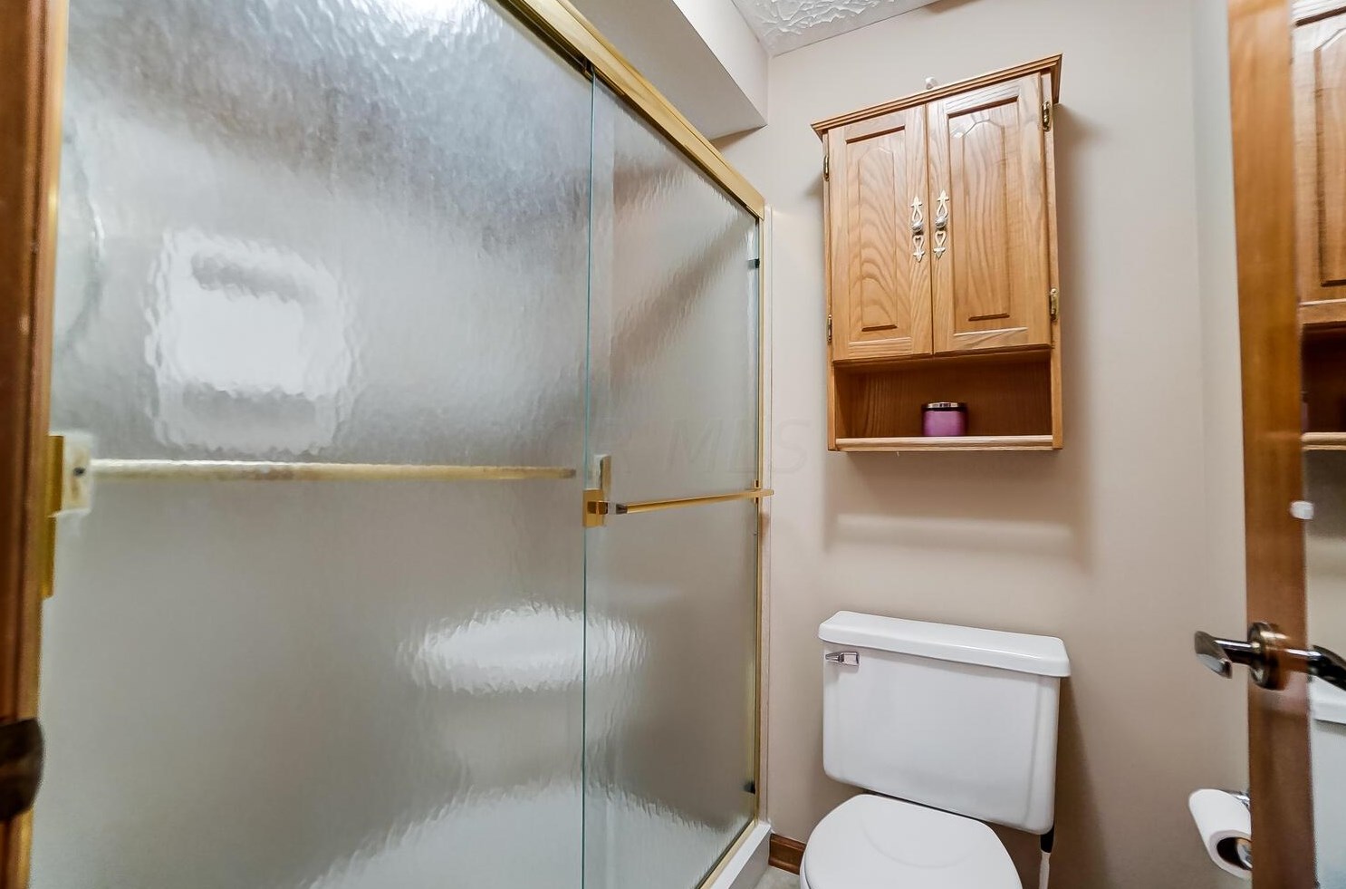 13114 Oakmere Dr, Pickerington OH  43147-9005 exterior