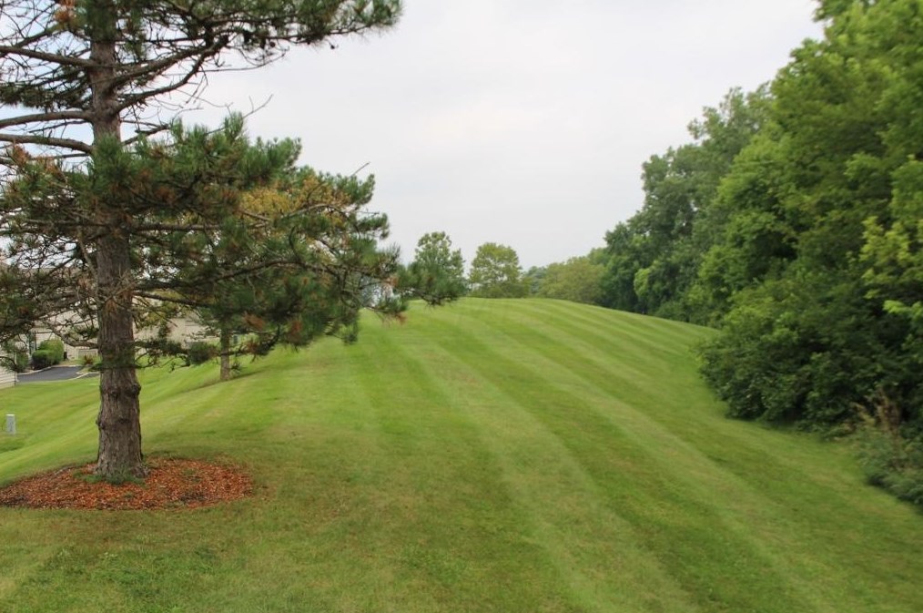 5372 Coral Berry Dr, Columbus OH 43235-5532 exterior