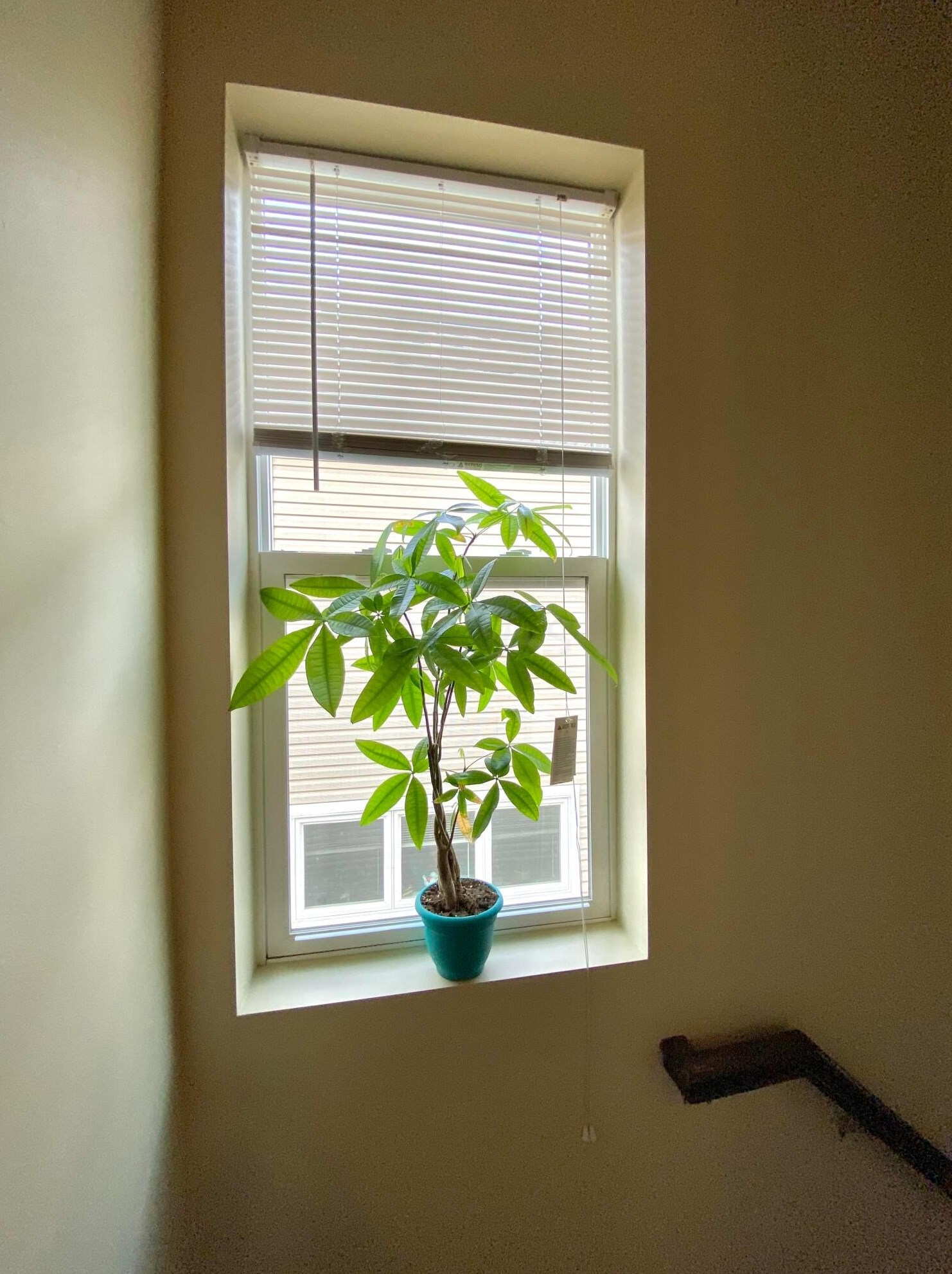 149 20 St, Columbus OH 43203-1504 exterior