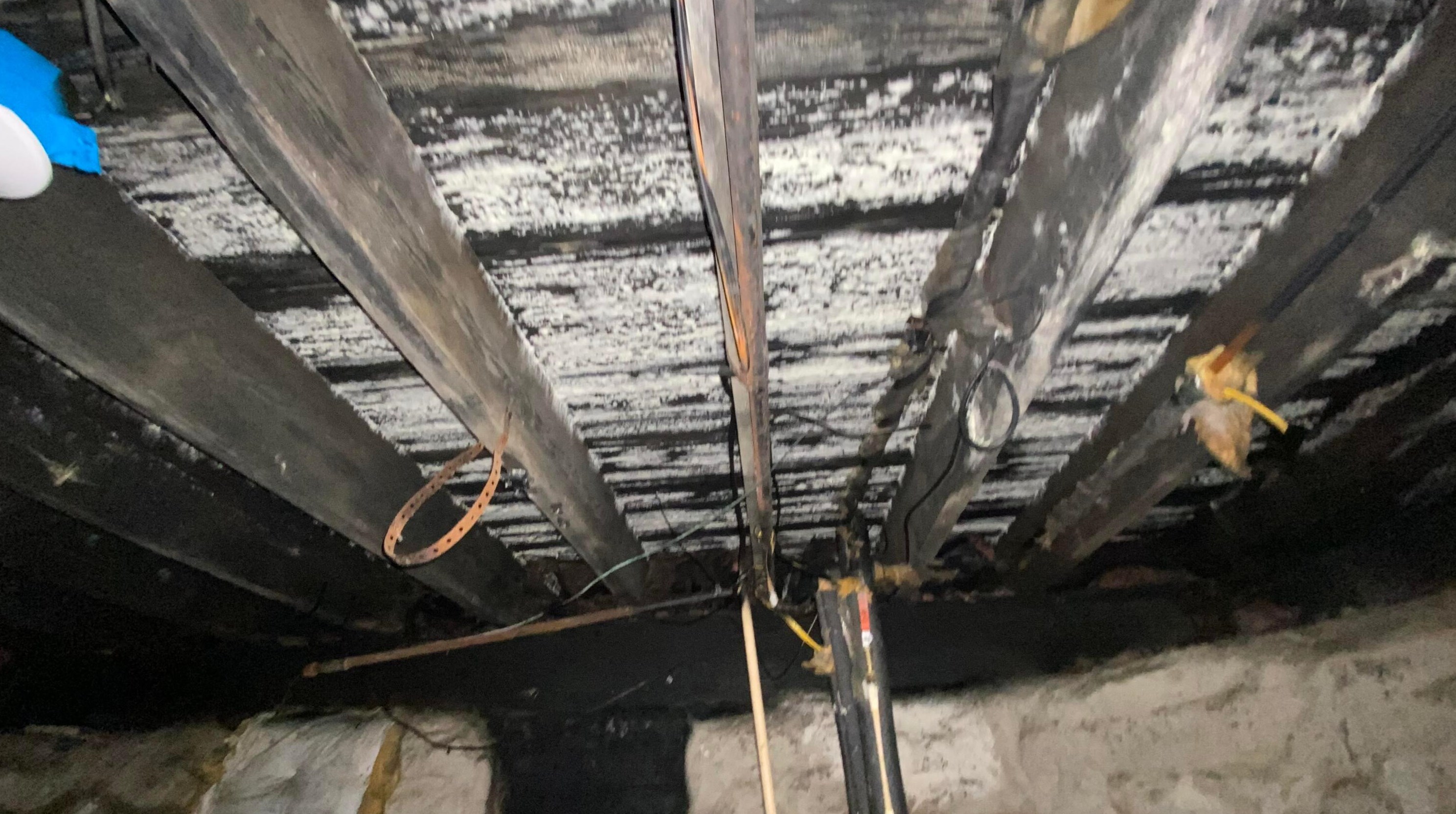 154 Oakley Ave, Columbus OH 43204-3217 exterior