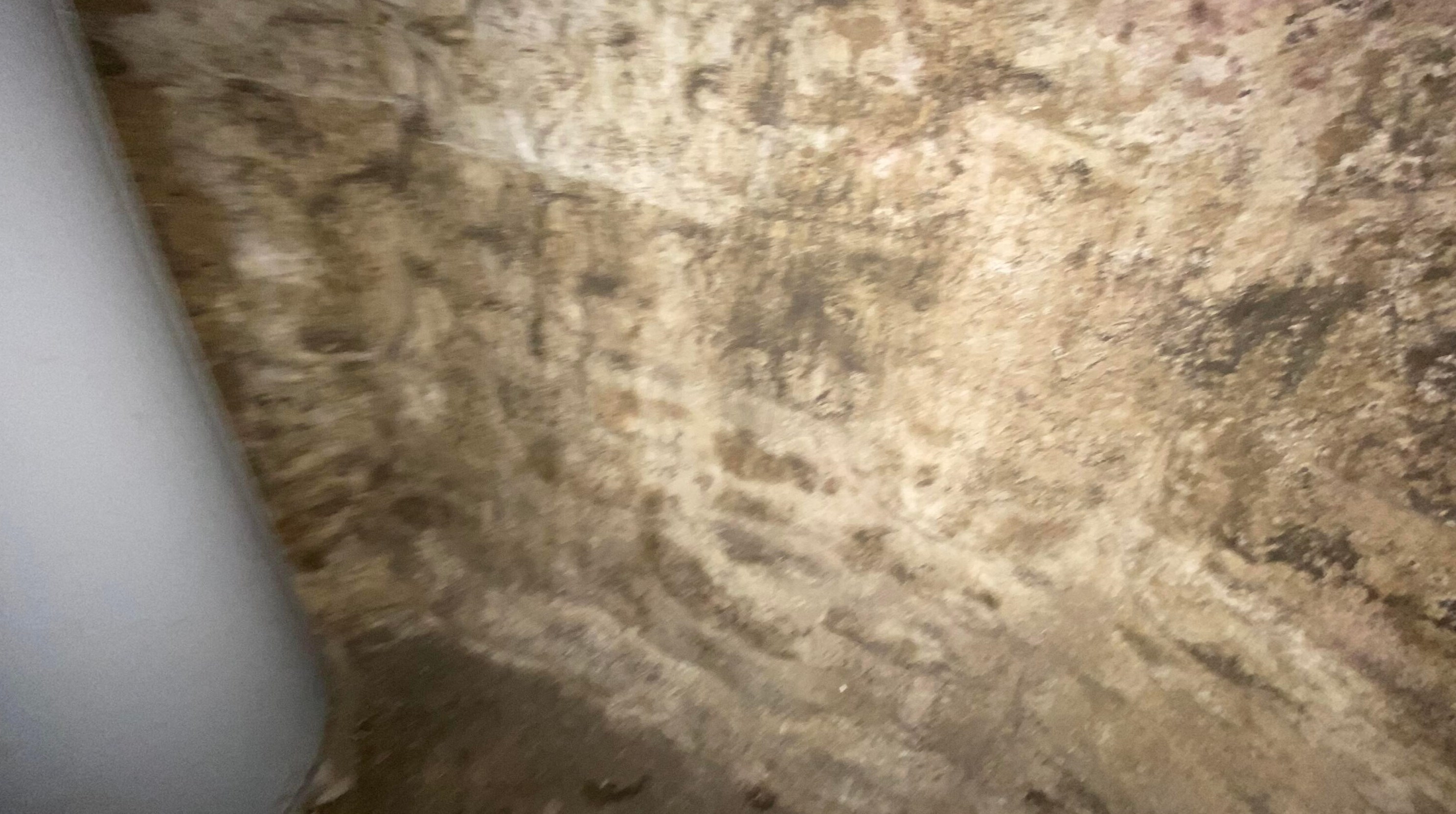 154 Oakley Ave, Columbus OH 43204-3217 exterior