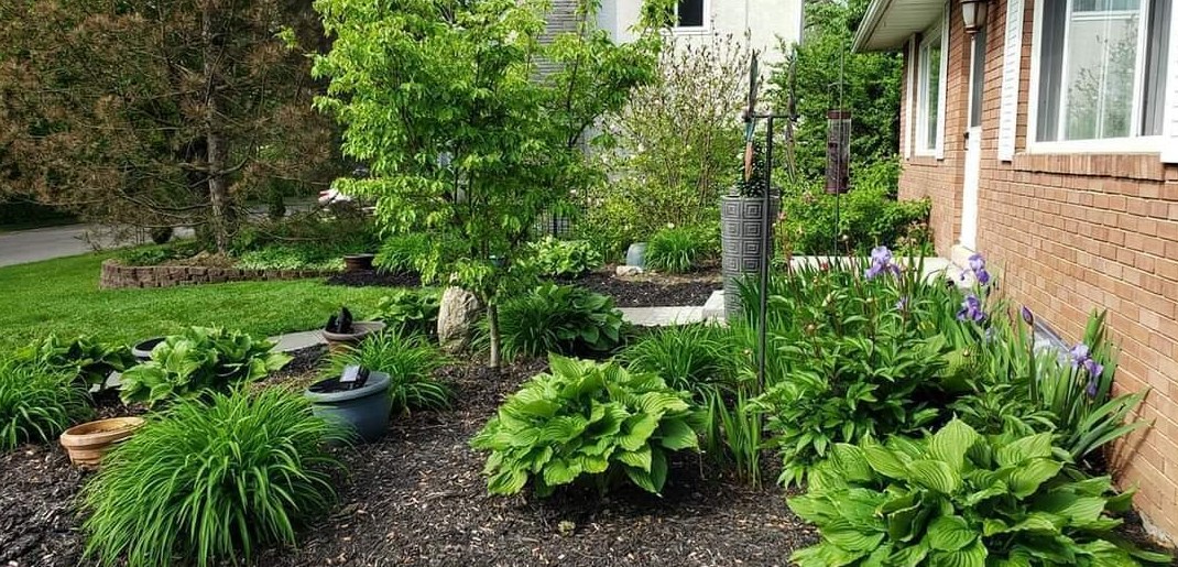 2508 Minerva Lk Rd, Columbus OH 43231-4819 exterior