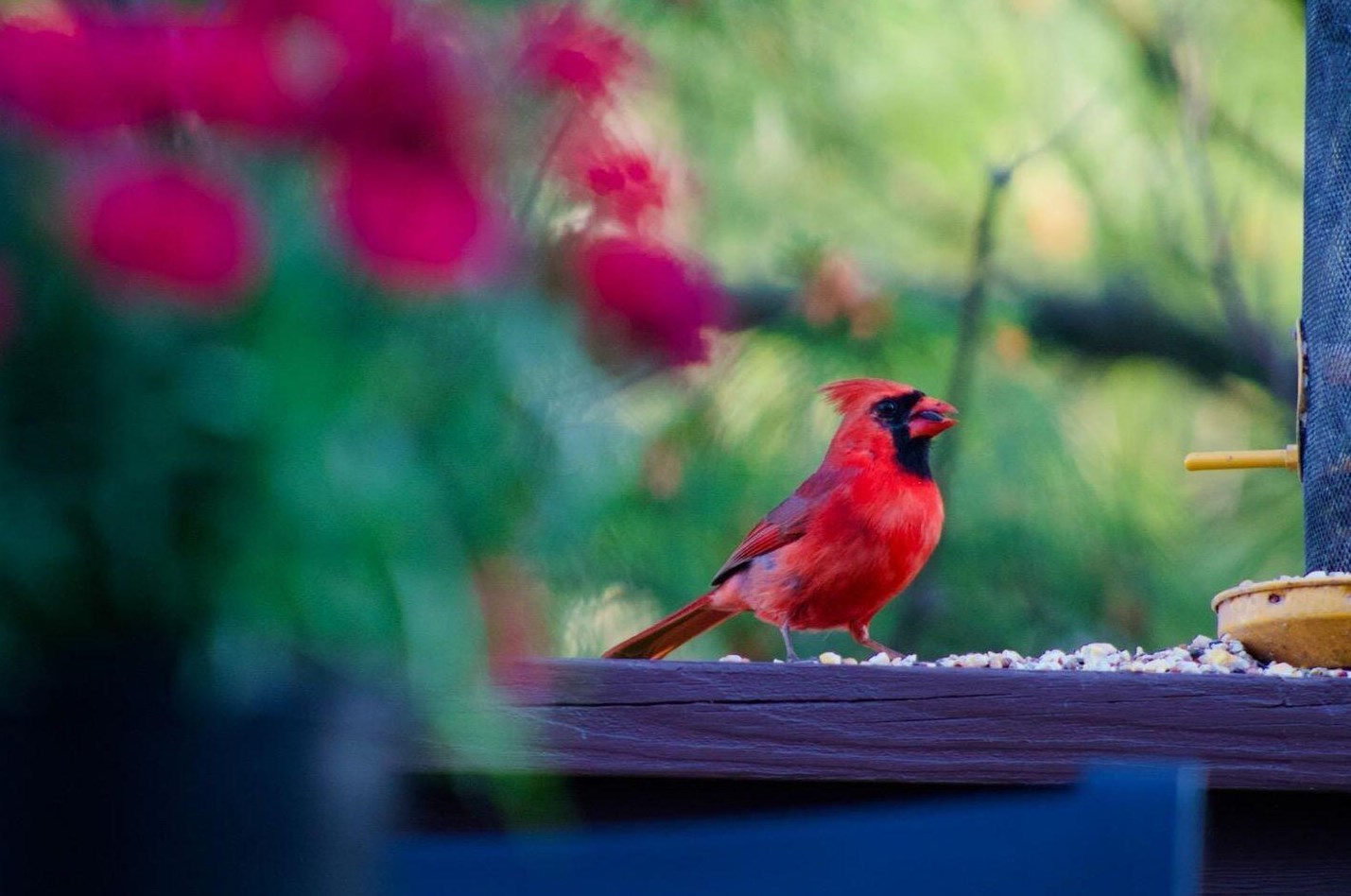 892 Pebblelane Dr, Columbus OH 43085-5323 exterior