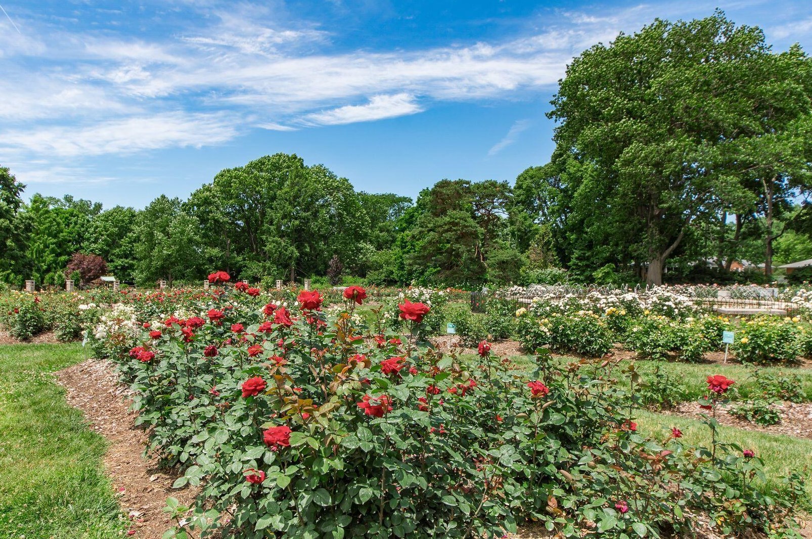 532 Milford Ave, Columbus OH 43202-1370 exterior