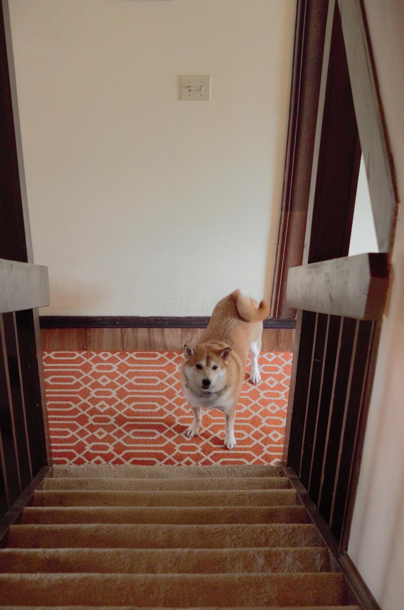 2287 Laurelwood Dr, Columbus OH 43229-9602 exterior