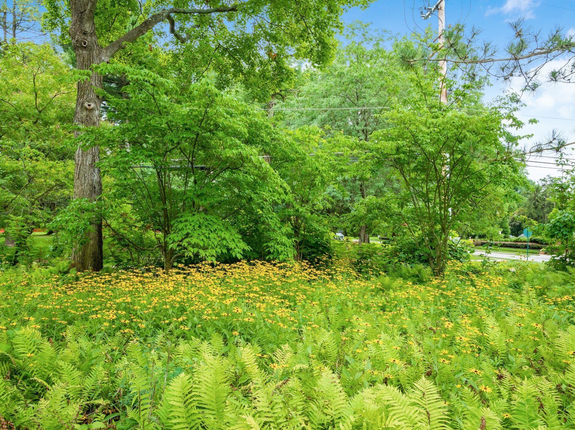 189 Parkview Ave, Columbus OH 43209-1676 exterior