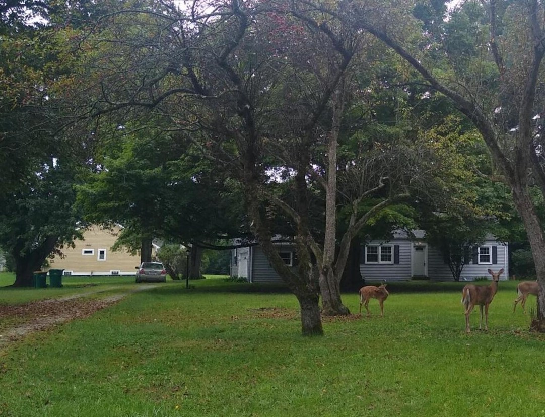 6455 Havens Rd, Blacklick, OH 43004