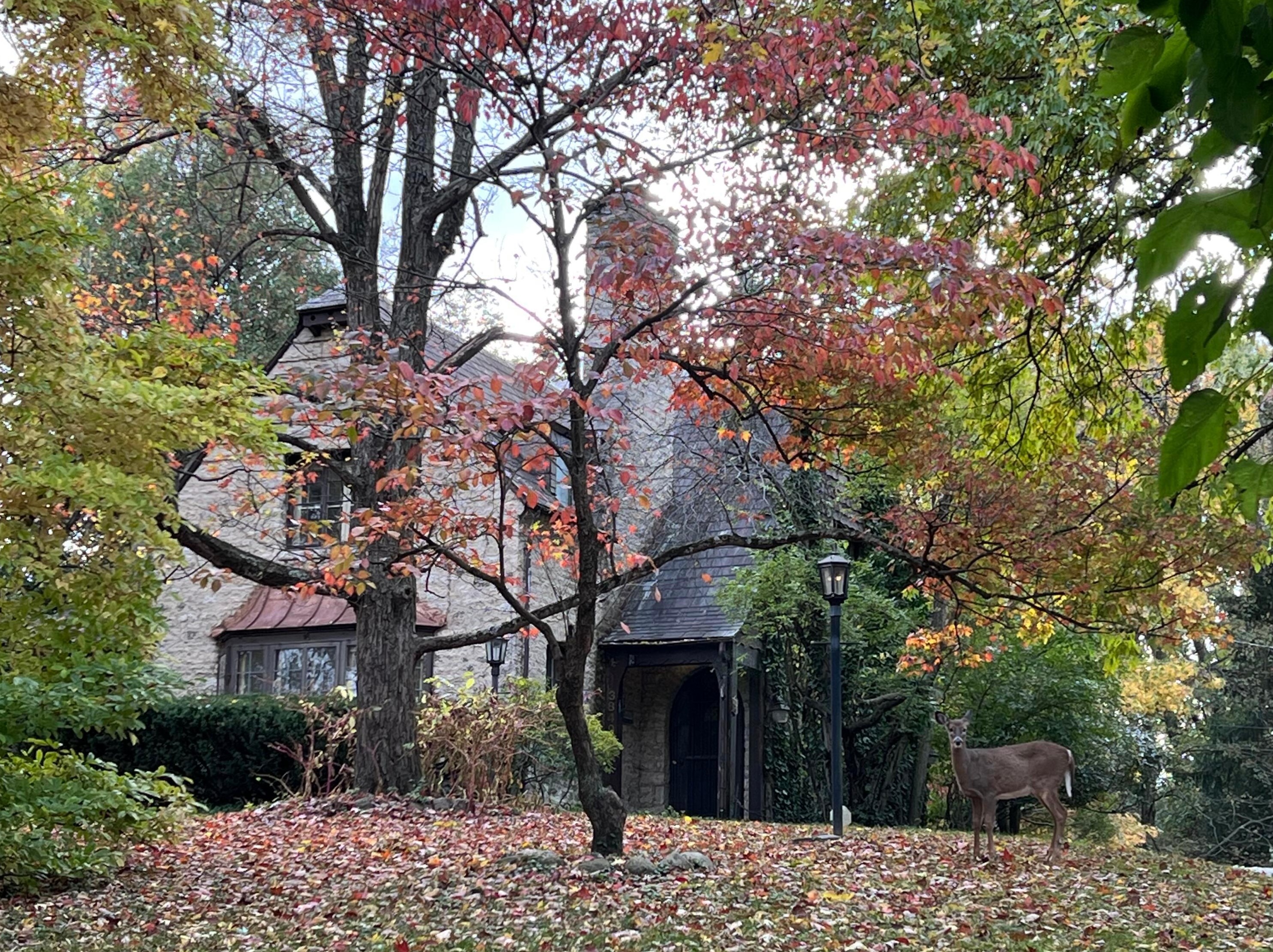 3849 Olentangy River Rd, Columbus, OH 43214-3458