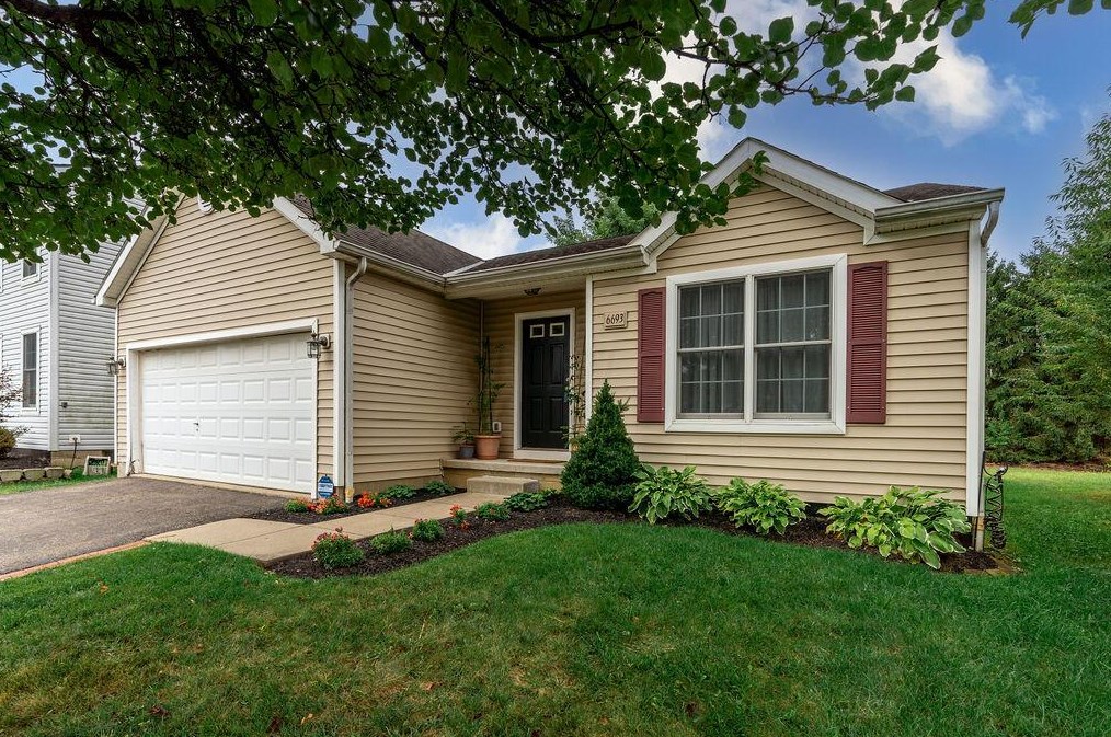 6693 Laburnum Dr, Cnl Wnchstr, OH 43110-8597