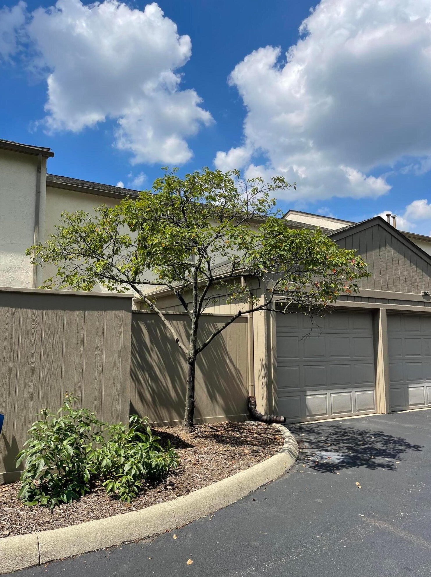 156 Carrowmoor Ct, Dublin, OH 43017-1381