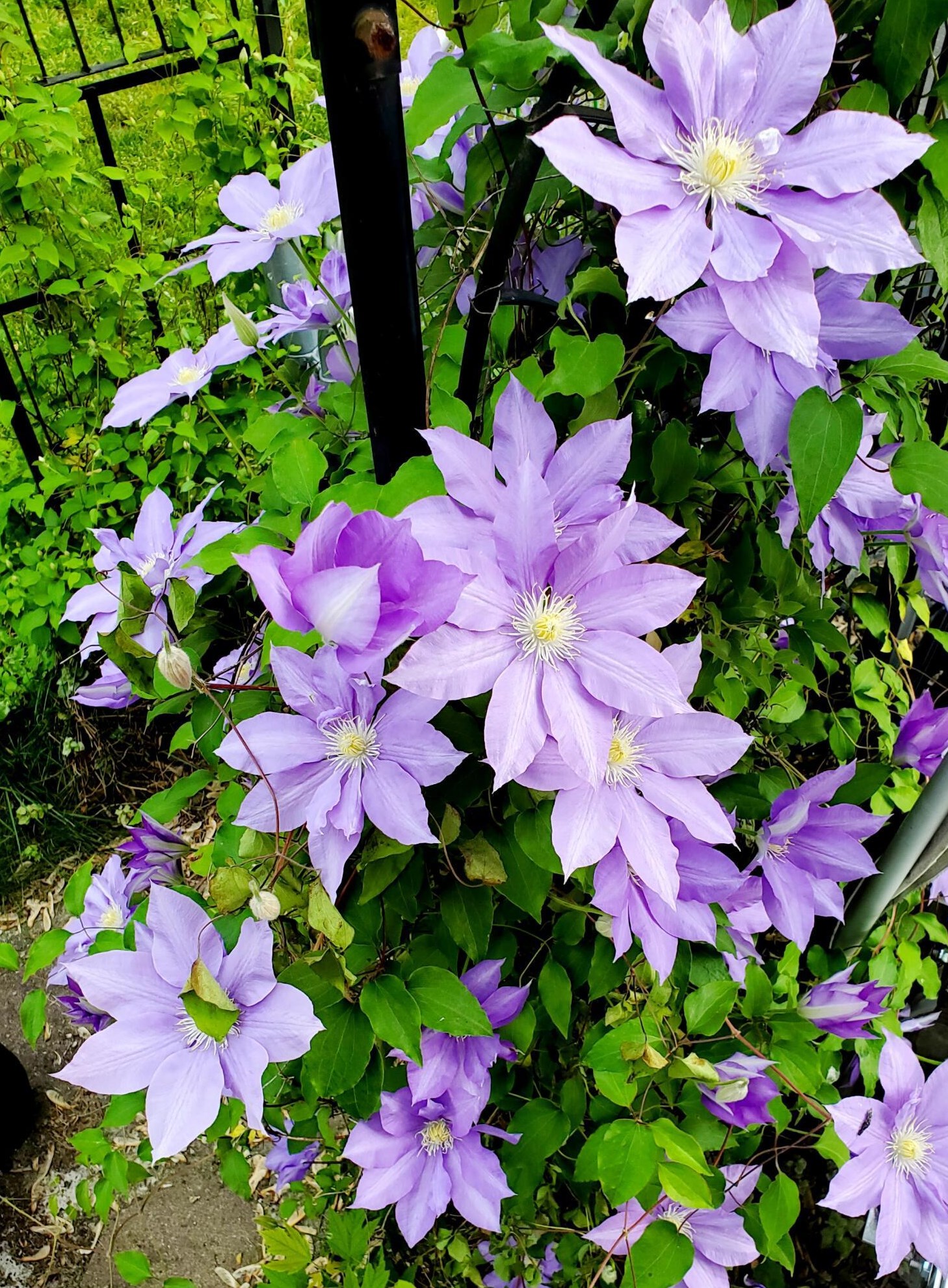 602 Collingwood Ave, Columbus OH 43213-1788 exterior