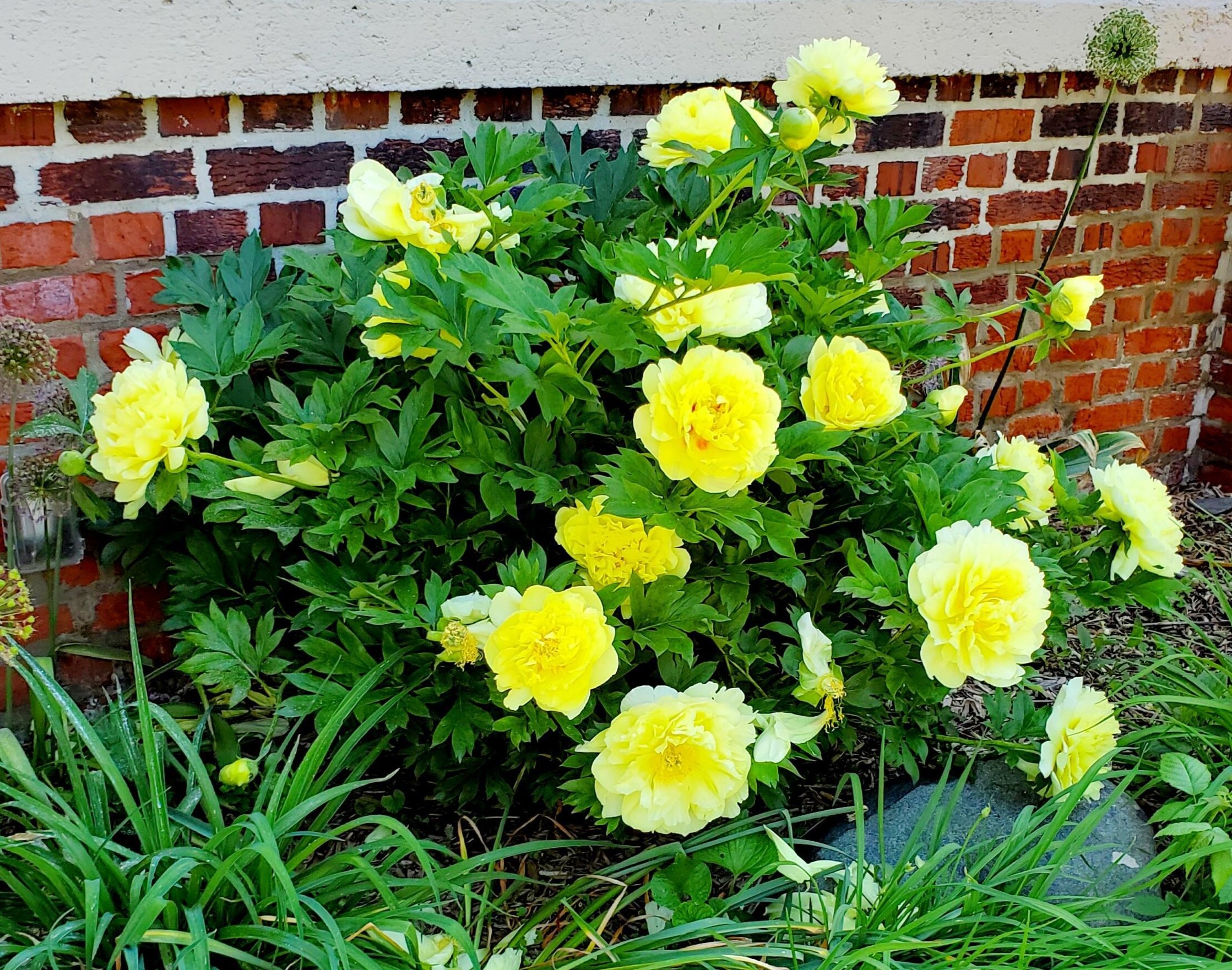 602 Collingwood Ave, Columbus OH 43213-1788 exterior