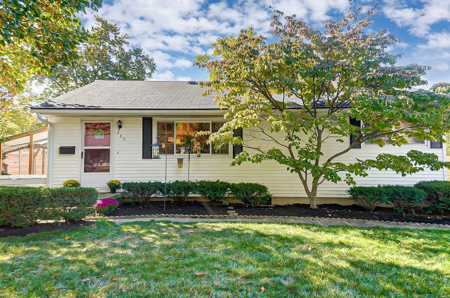 289 Pingree Dr, Sharon Township, OH 43085