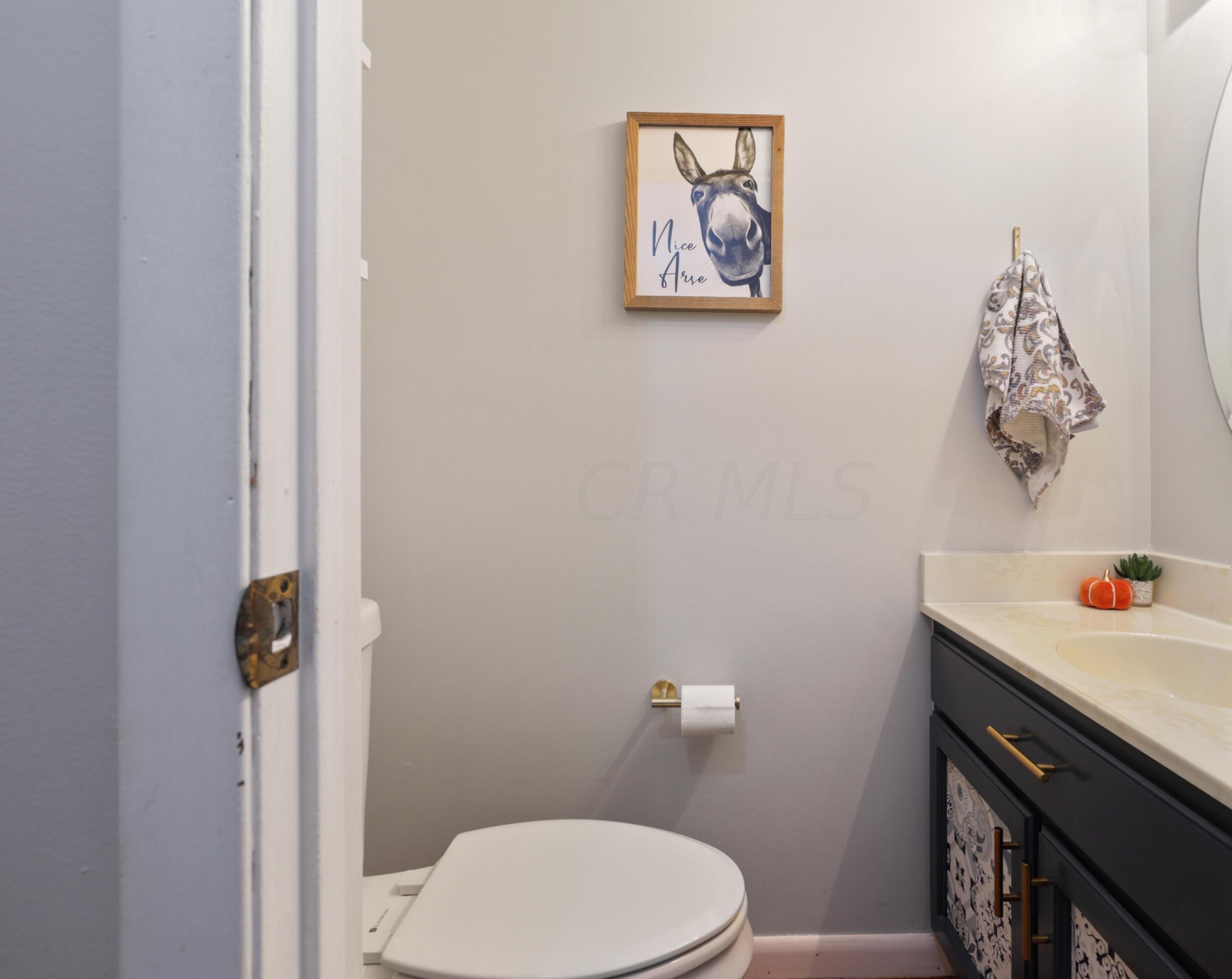 12047 Rocky Springs Ln, Pickerington OH  43147-9186 exterior