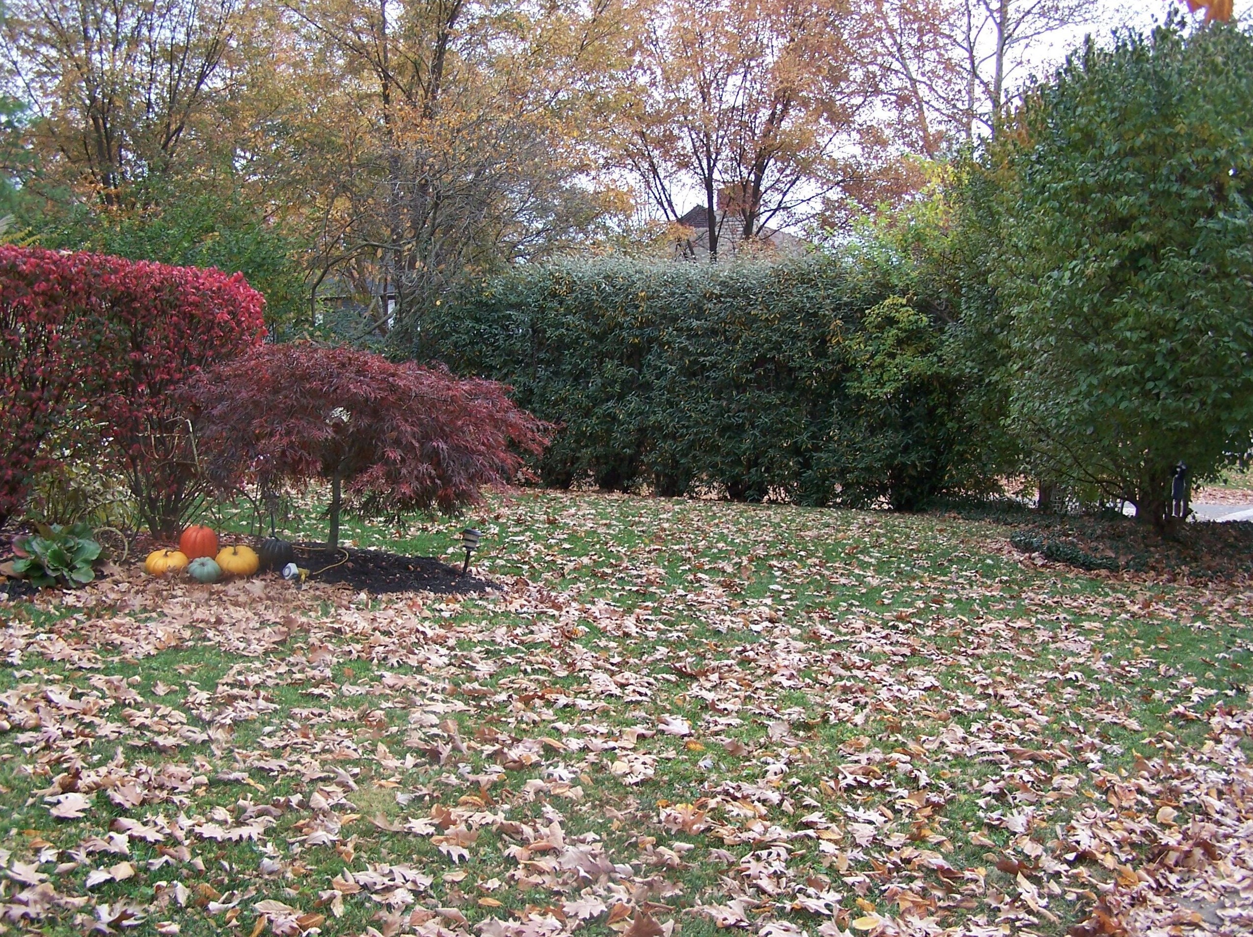 254 Merkle Rd, Columbus OH 43209-1554 exterior