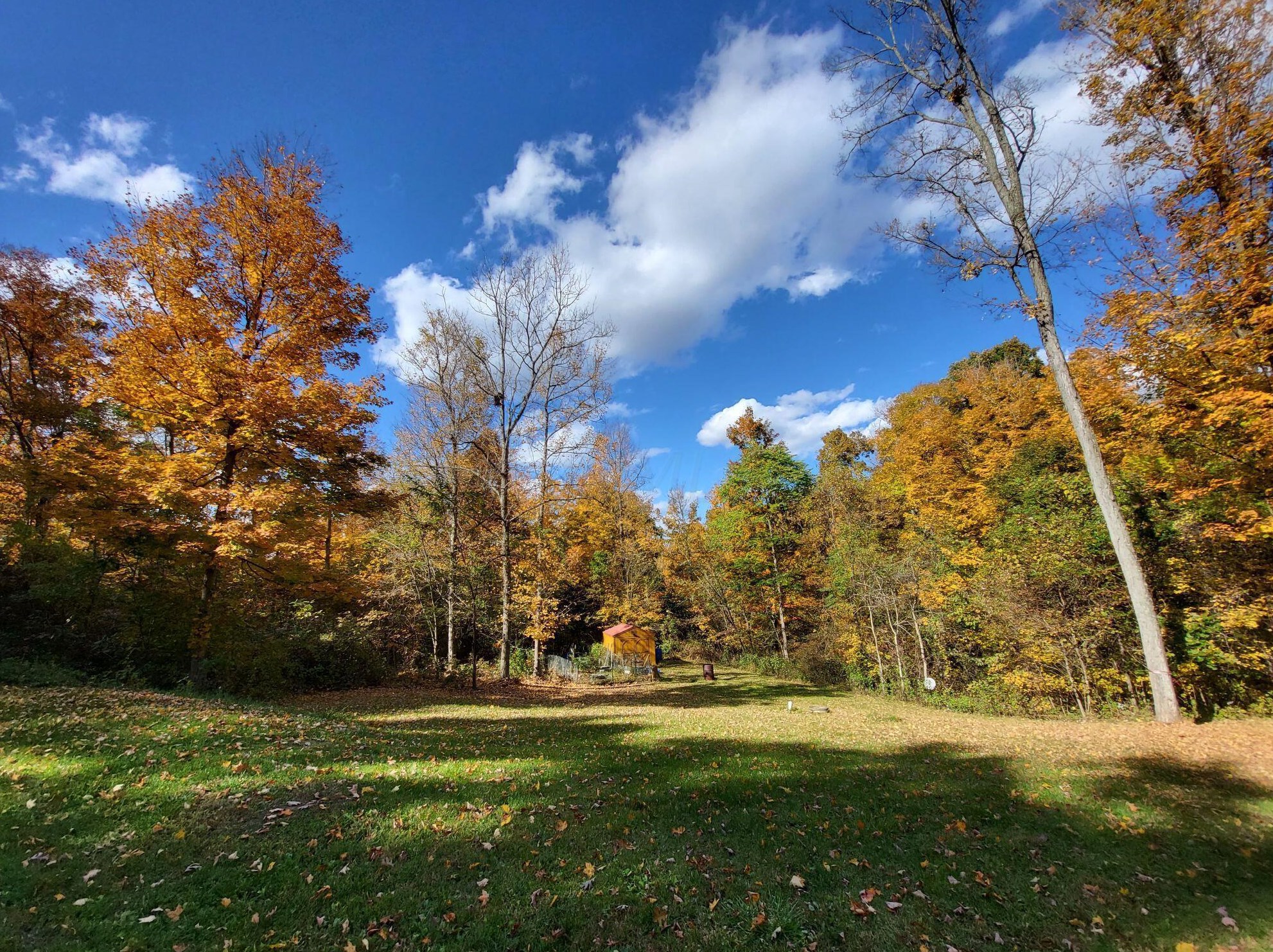 9476 Township Road 49, Mount Perry, OH 43760-9783