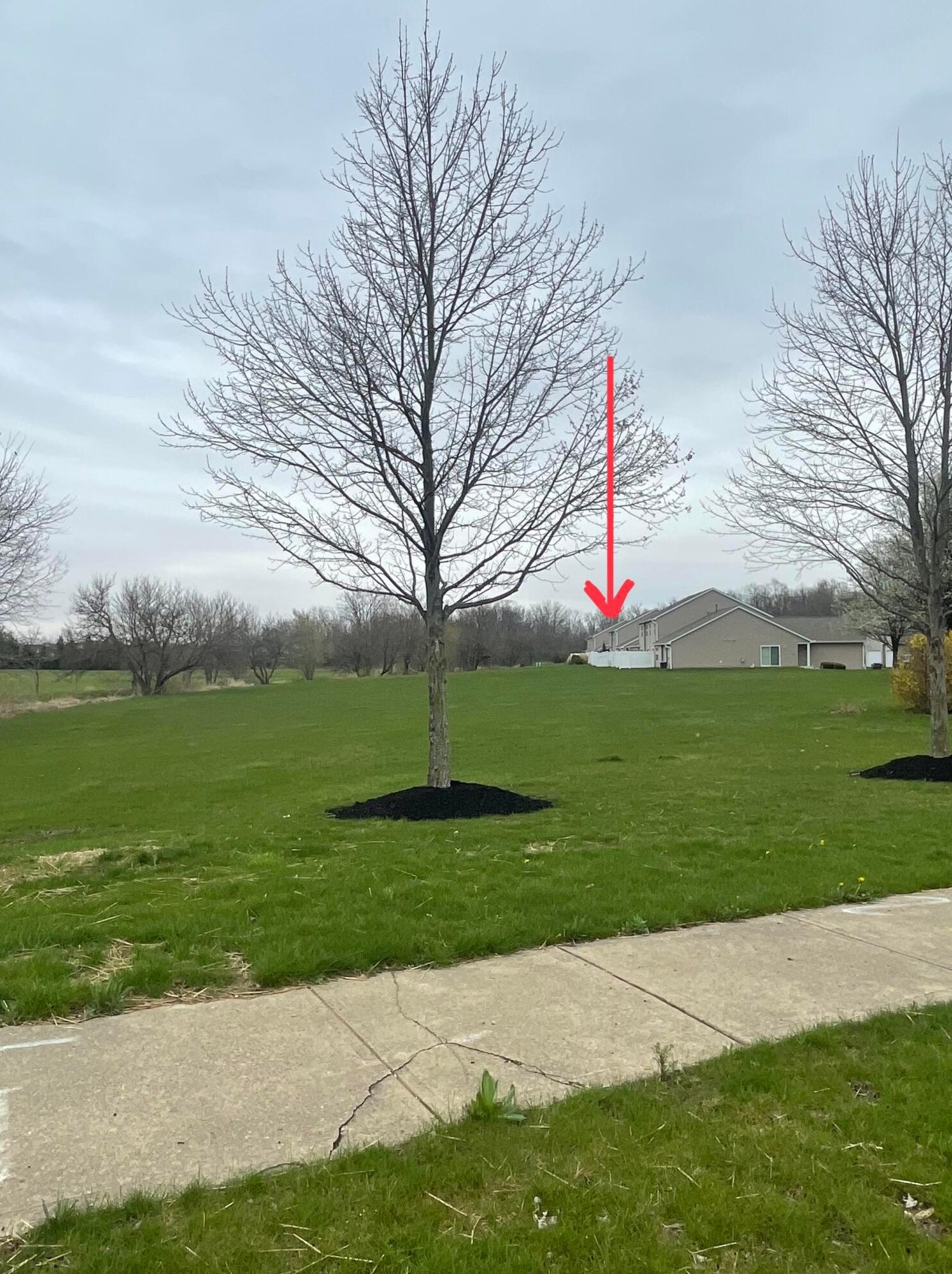 5147 Mantua Dr, Cnl Wnchstr, OH 43110-7922