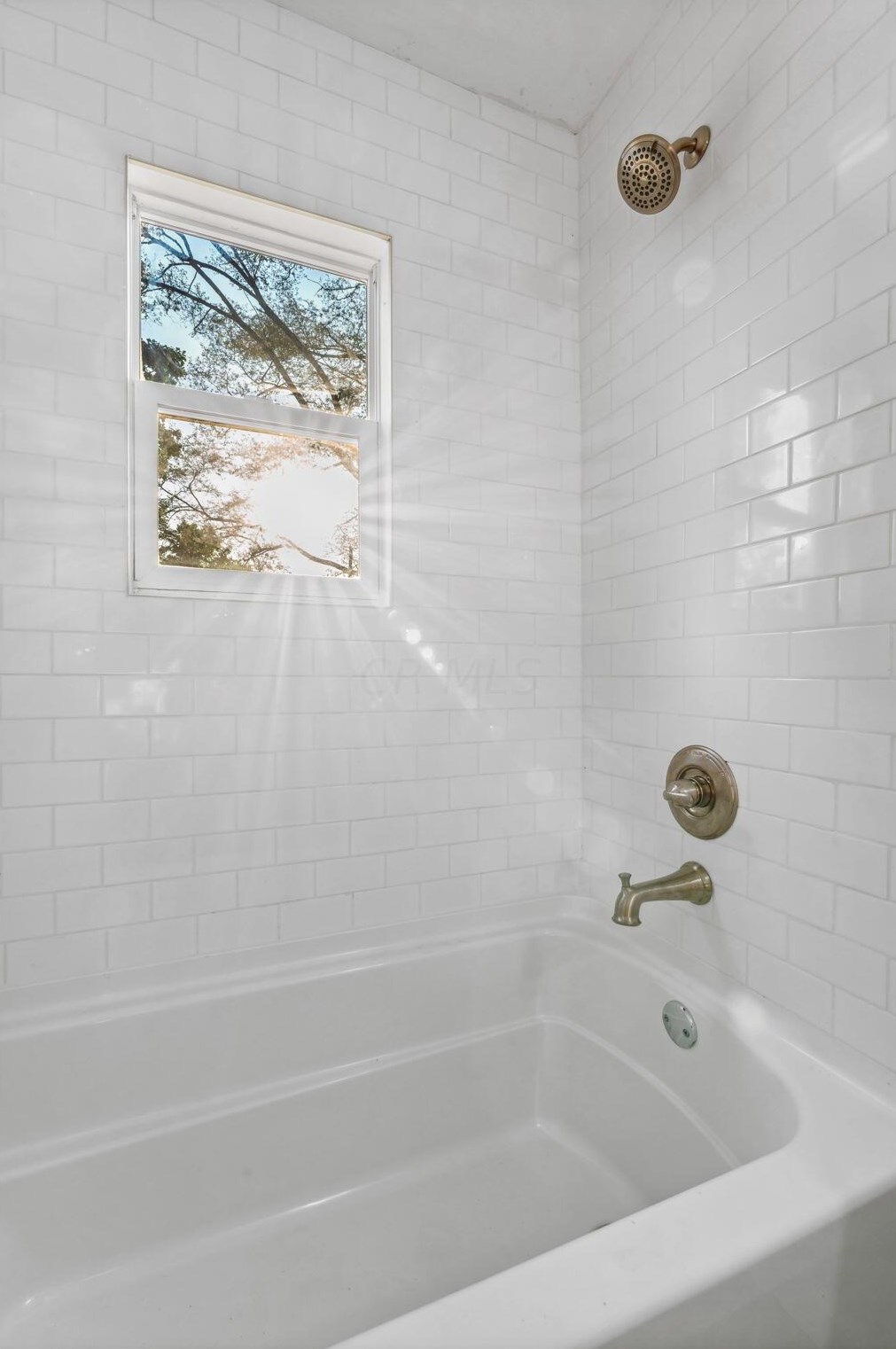 2339 Pontiac St, Columbus OH  43211-2049 exterior