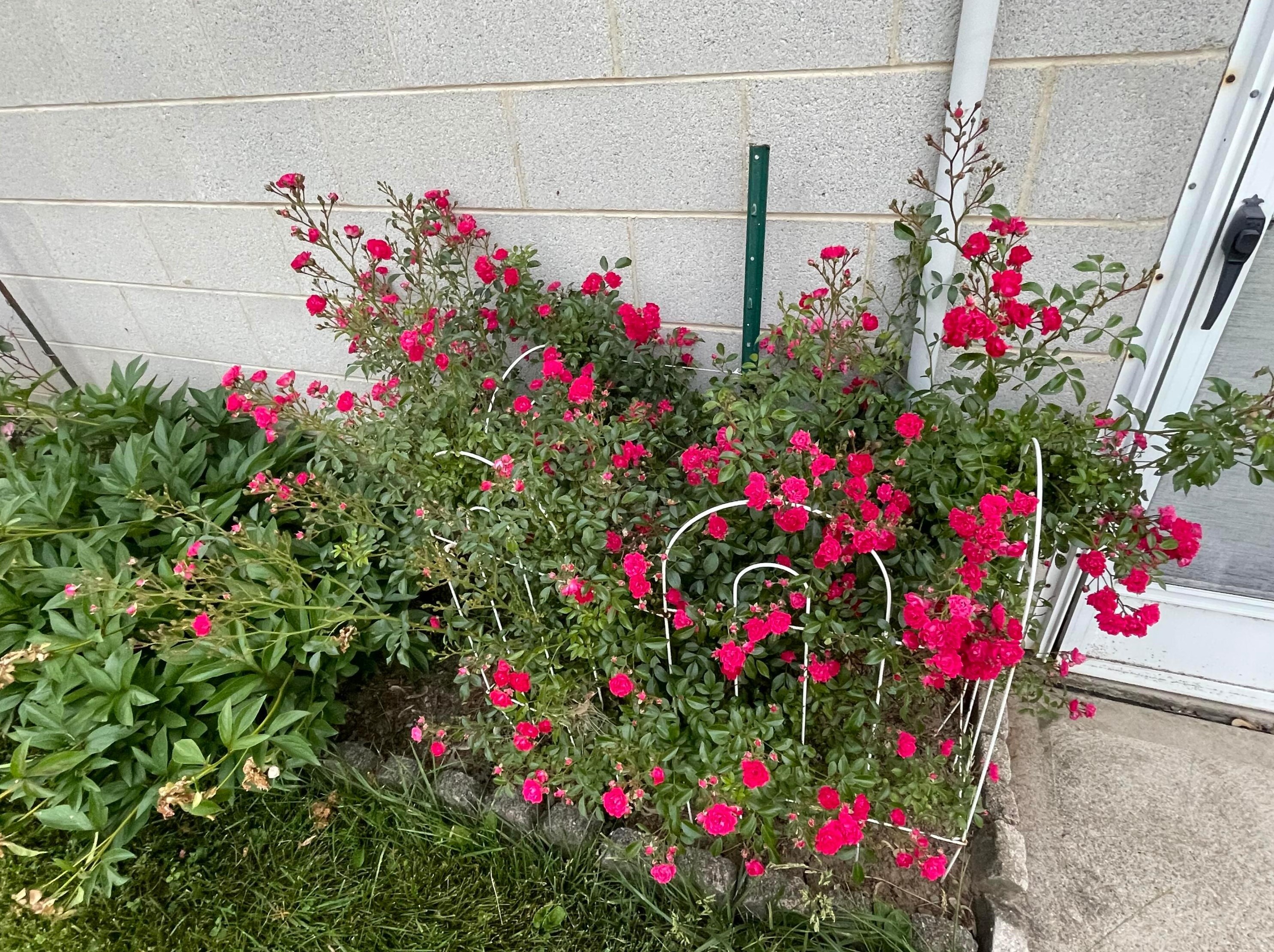 795 Colton Rd, Columbus OH 43207-3838 exterior