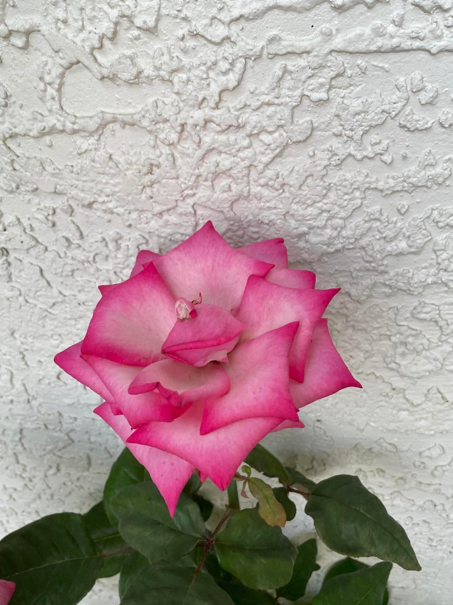 795 Colton Rd, Columbus OH 43207-3838 exterior