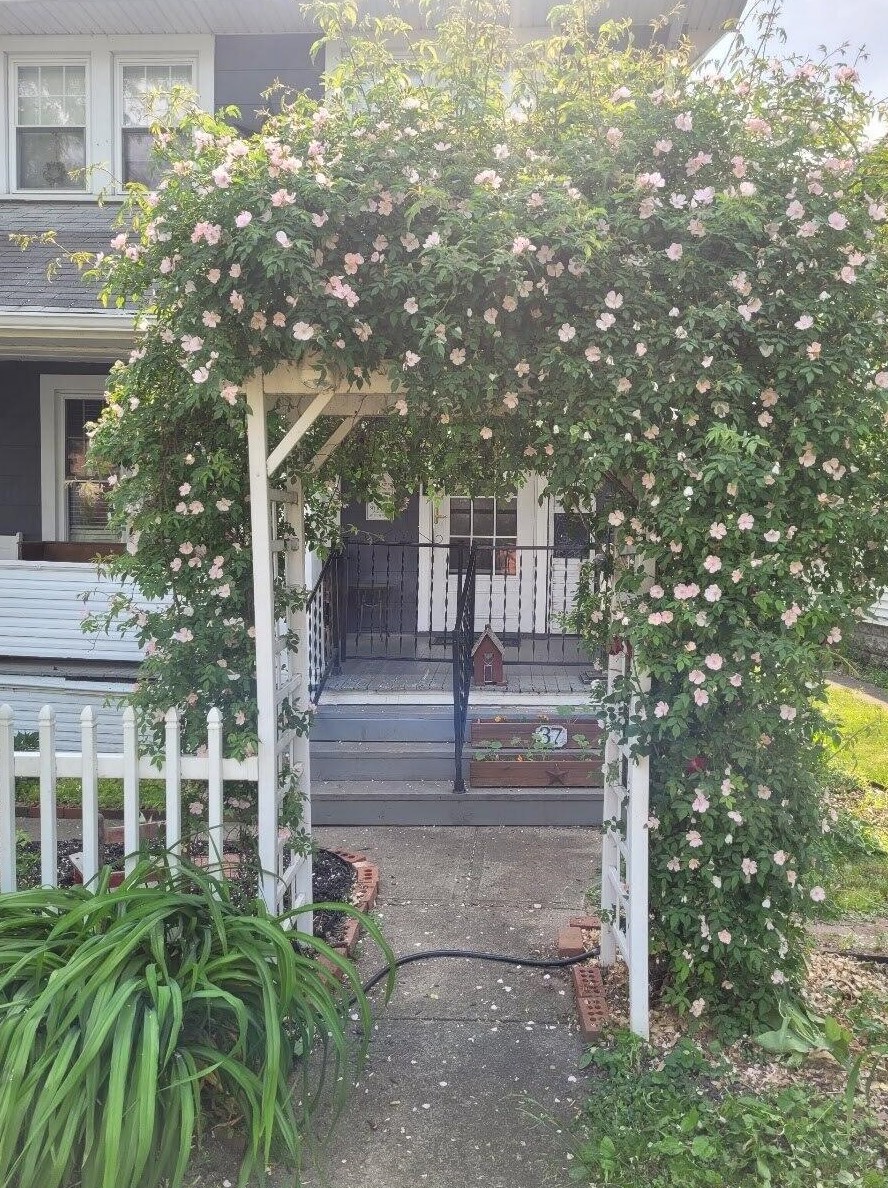 37 Roys Ave, Columbus, OH 43204-2504