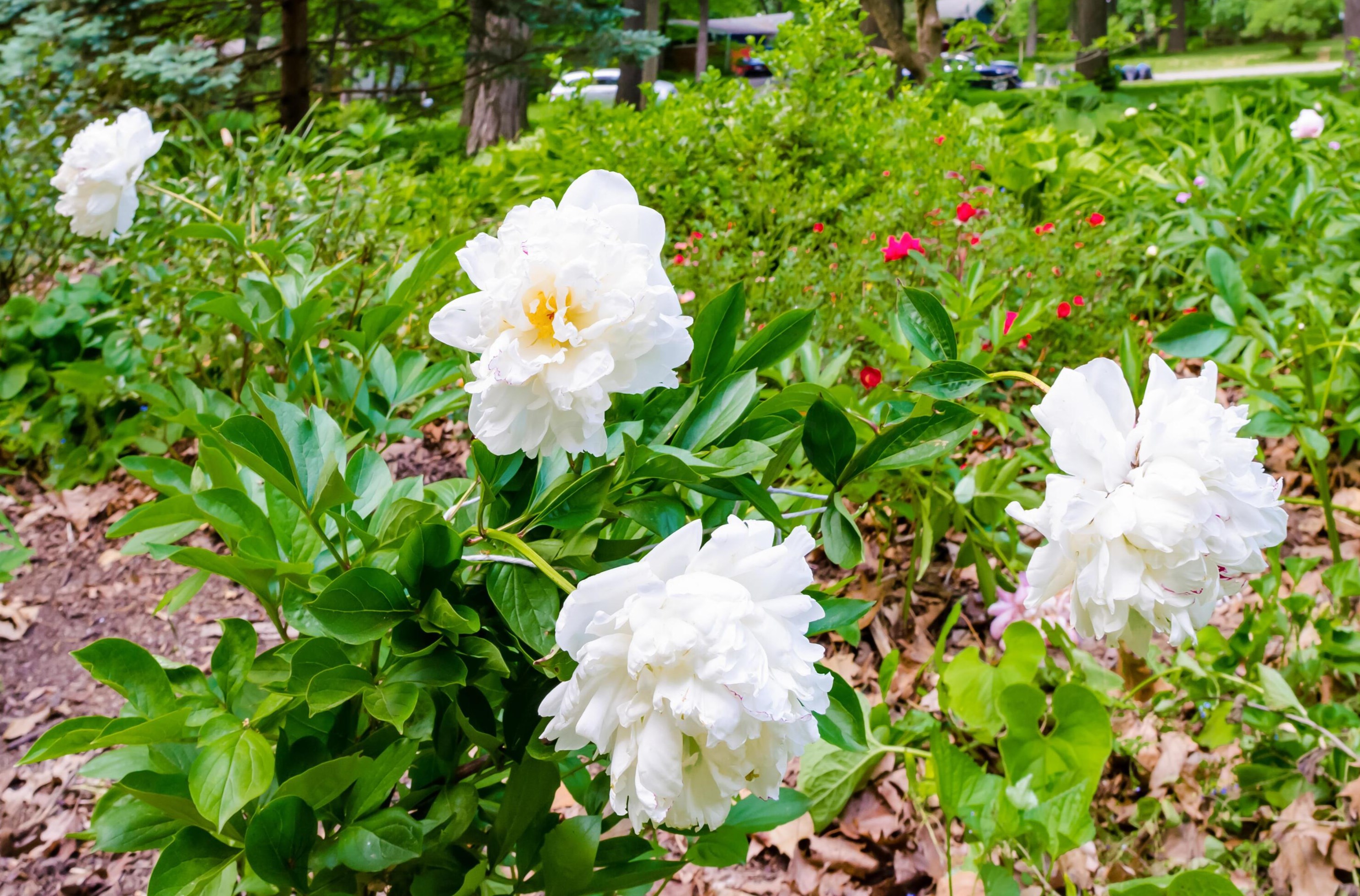 6665 Merwin Rd, Columbus OH 43235-2808 exterior