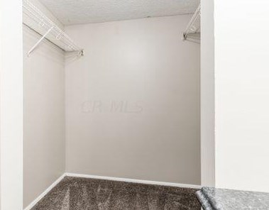 3845 Julia Ct, Columbus OH 43230-4133 exterior