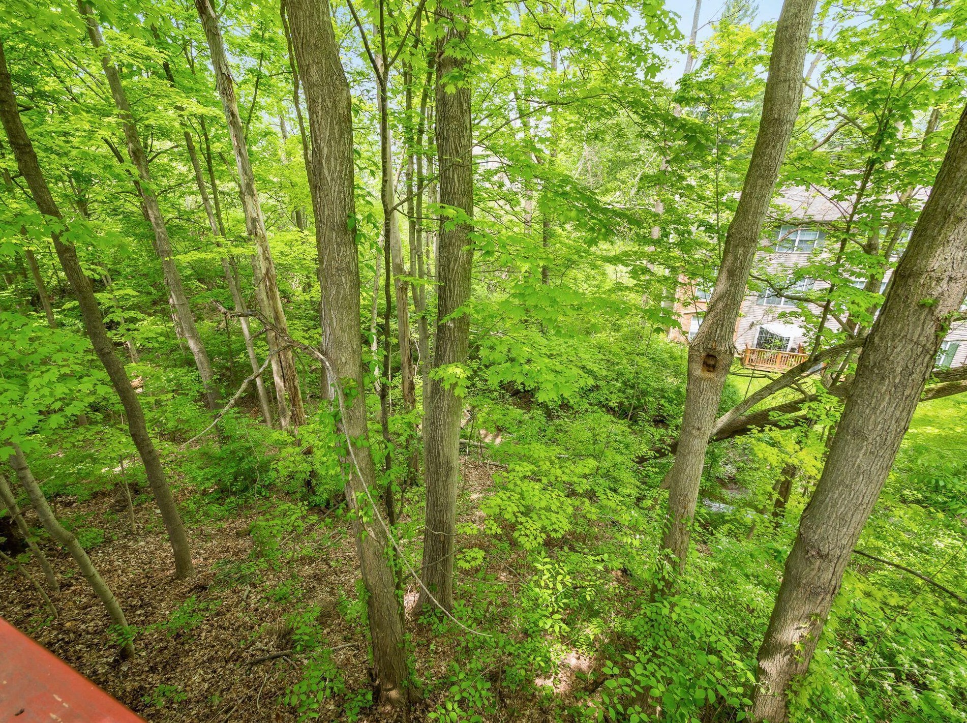 3046 Ravine Pointe Dr, Columbus OH 43231-7680 exterior