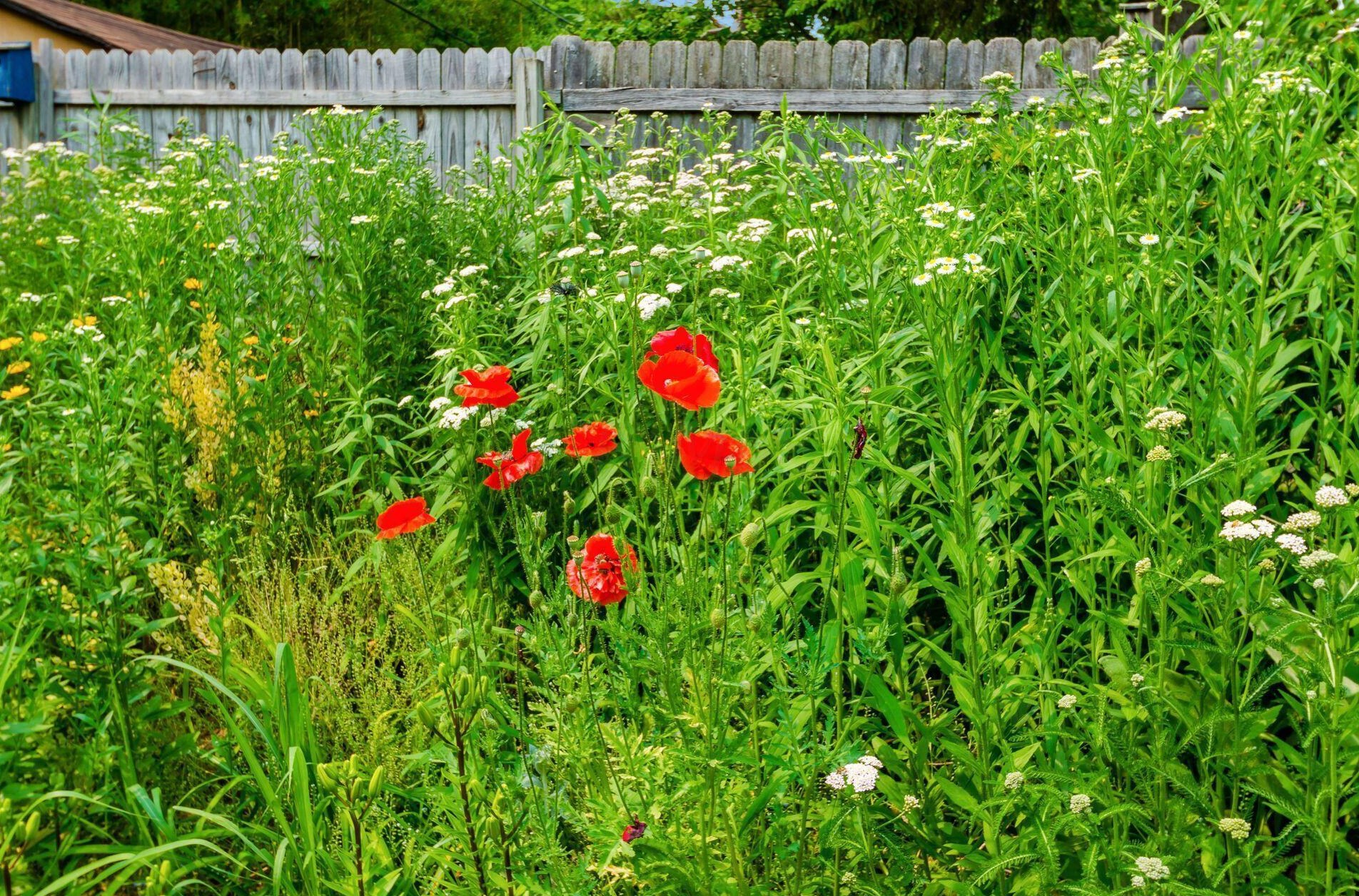 3625 Pegg Ave, Columbus OH 43214-2934 exterior