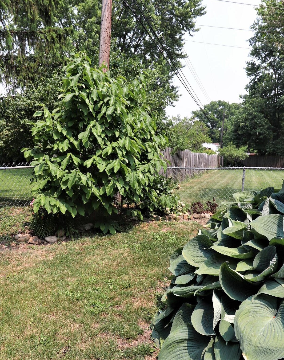 138 Marilla Rd, Columbus OH 43207-3815 exterior