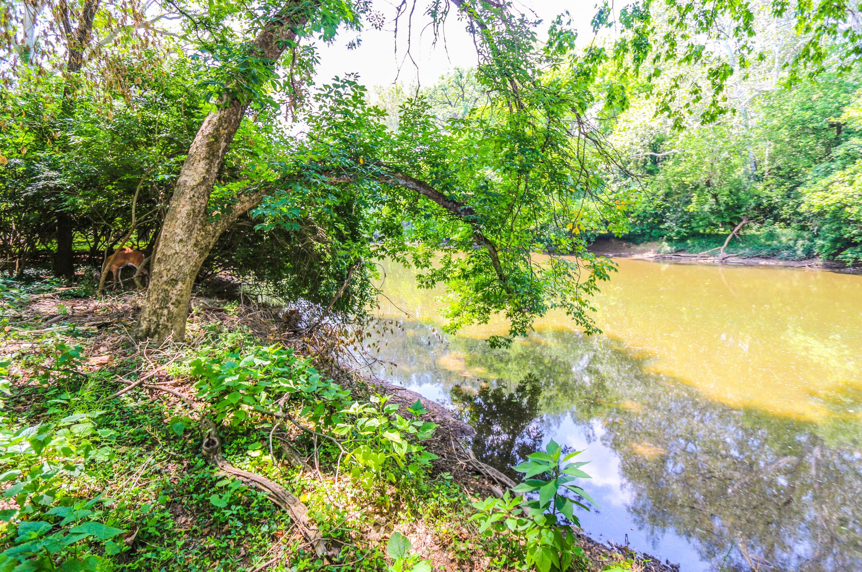 5795 Olentangy Blvd, Columbus OH 43085-3824 exterior