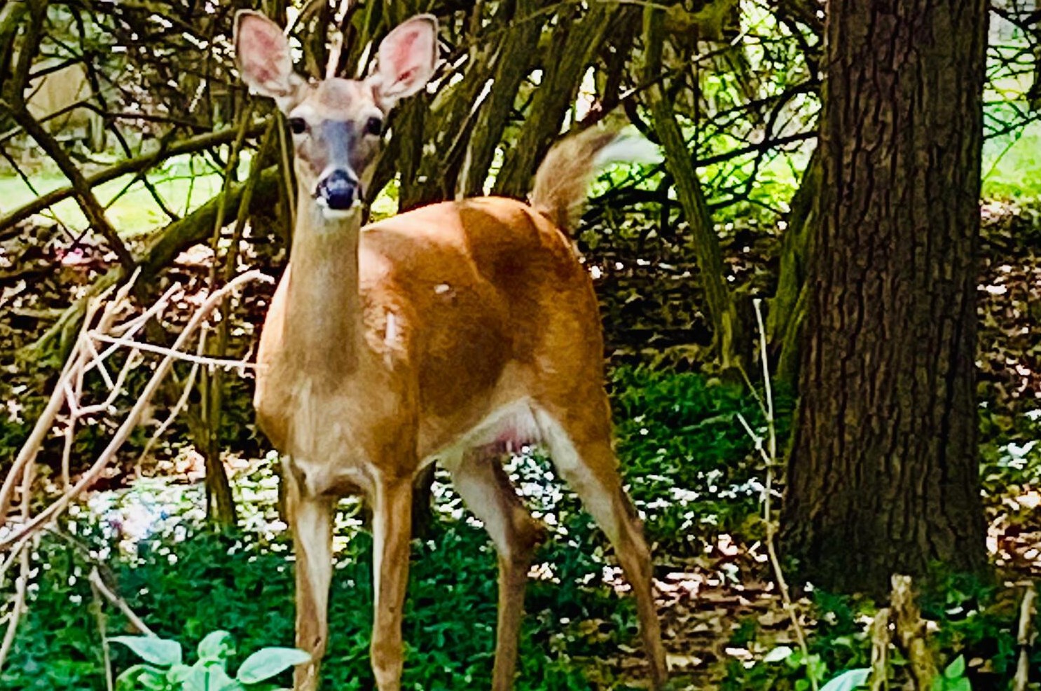 5795 Olentangy Blvd, Columbus OH 43085-3824 exterior