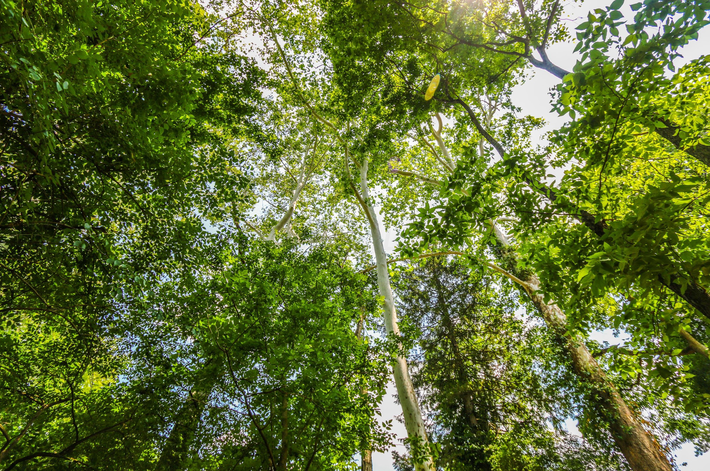 5795 Olentangy Blvd, Columbus OH 43085-3824 exterior