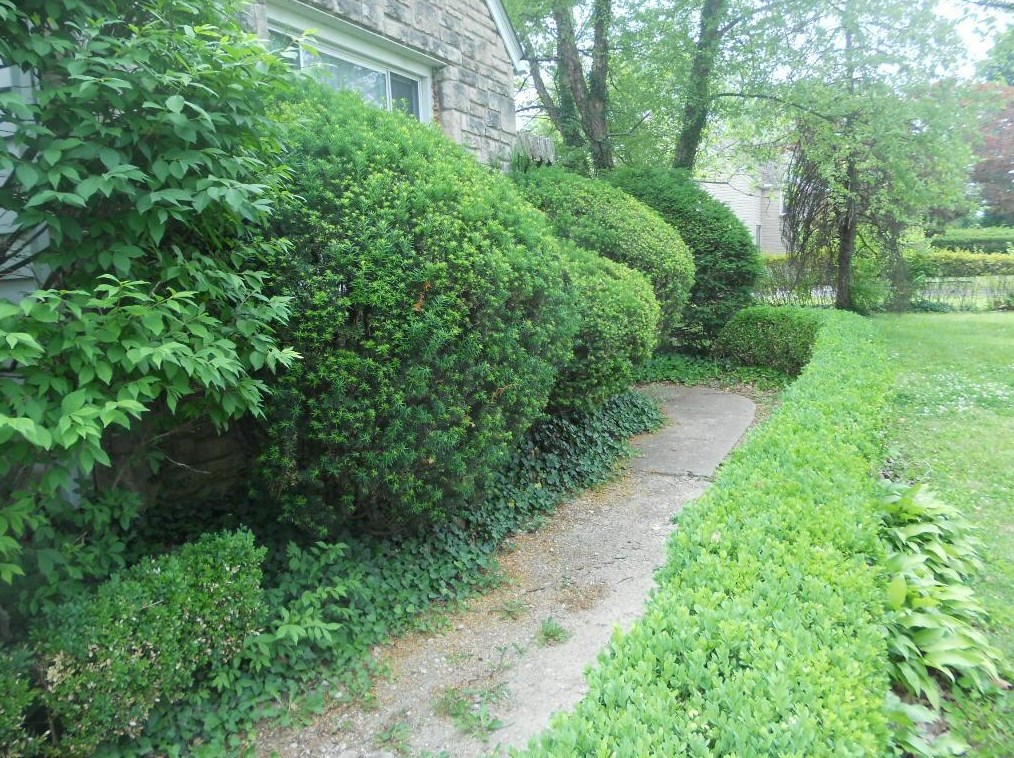 2429 Livingston Ave, Columbus, OH 43209-2911