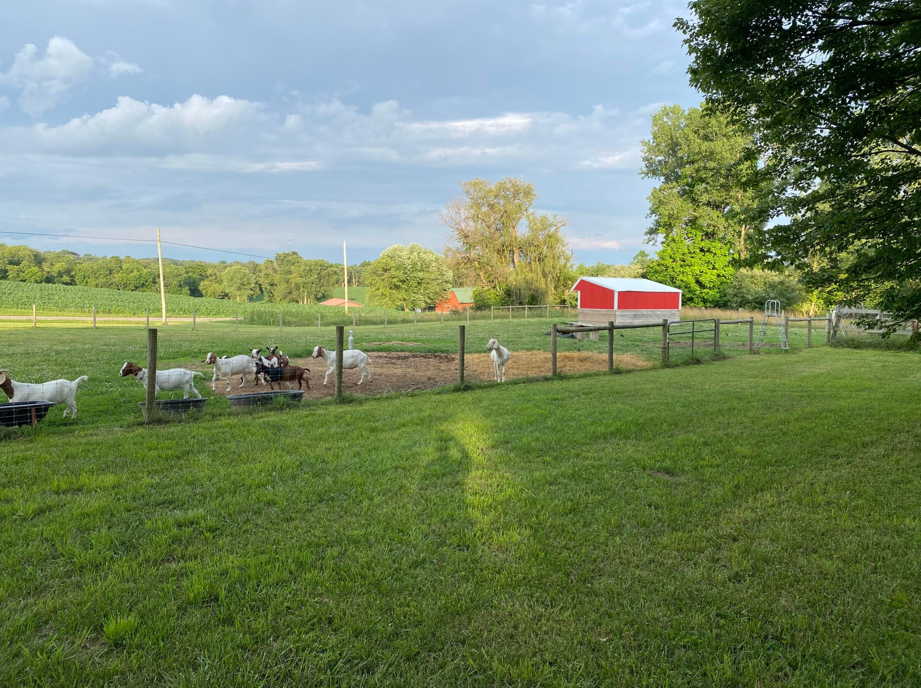 11253 Kenyon Rd, Mount Vernon, OH 43050