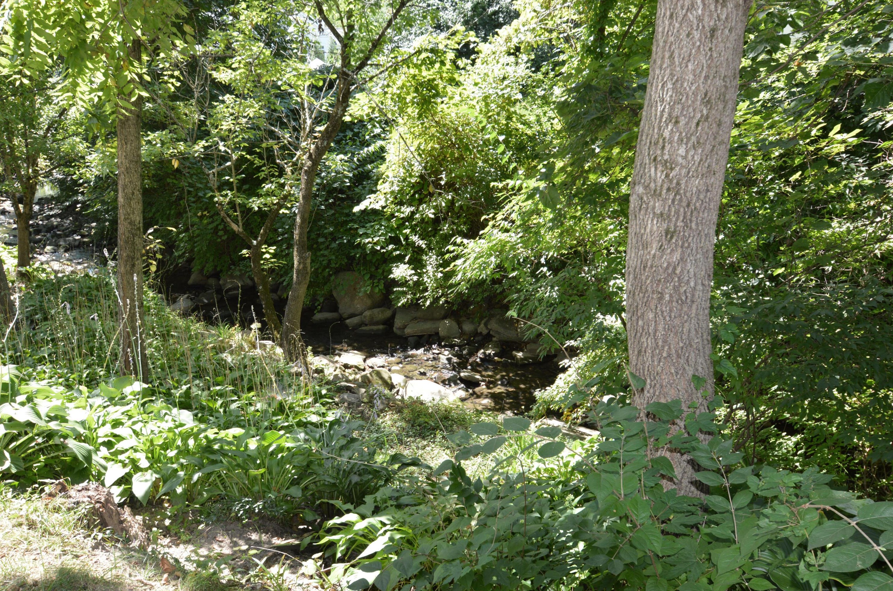 1203 Sanctuary Pl, Columbus OH 43230-8490 exterior