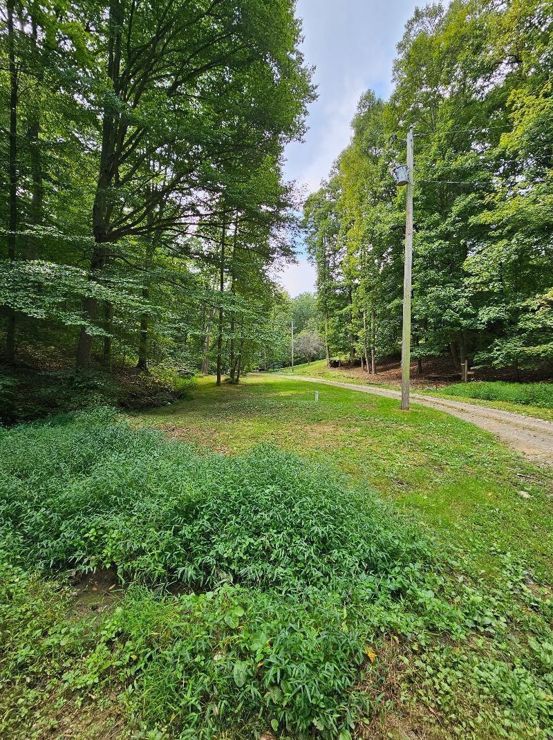 19164 Happy Hollow Rd, Laurelville, OH 43135