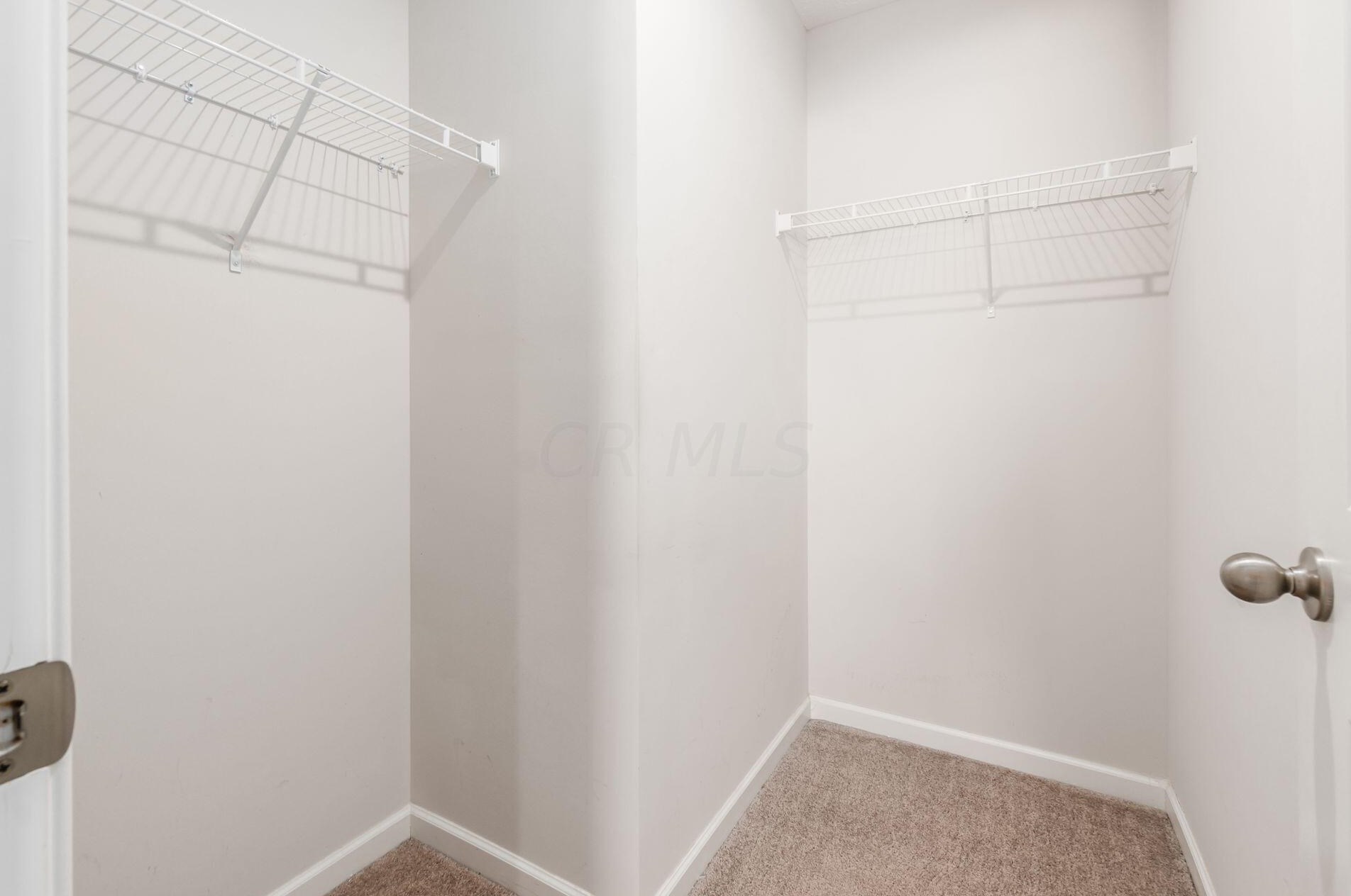 4216 Salt Spring Ln, Columbus OH  43207 exterior