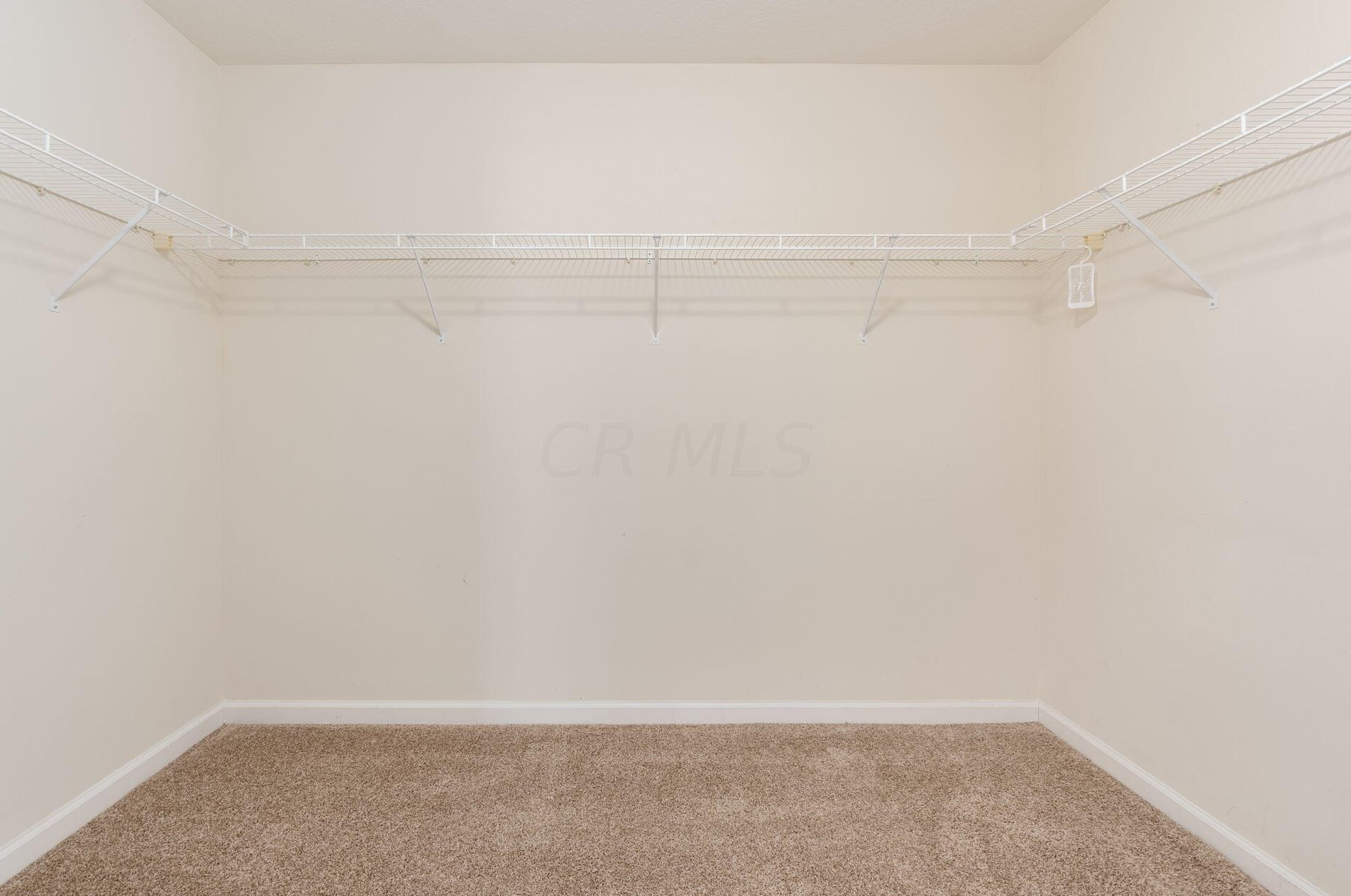 7965 Ravine Run Ln, Columbus OH 43235-6456 exterior