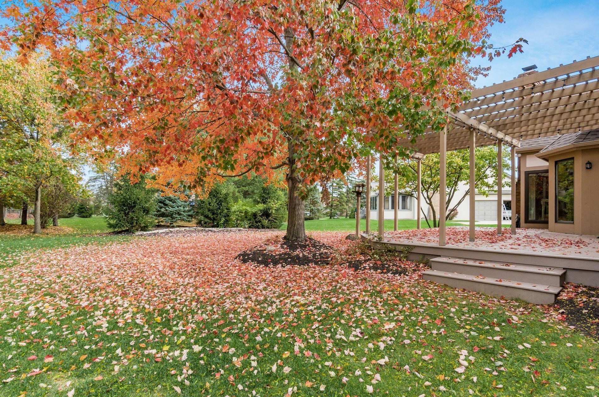 6168 Abbotsford Dr, Dublin OH  43017-8674 exterior