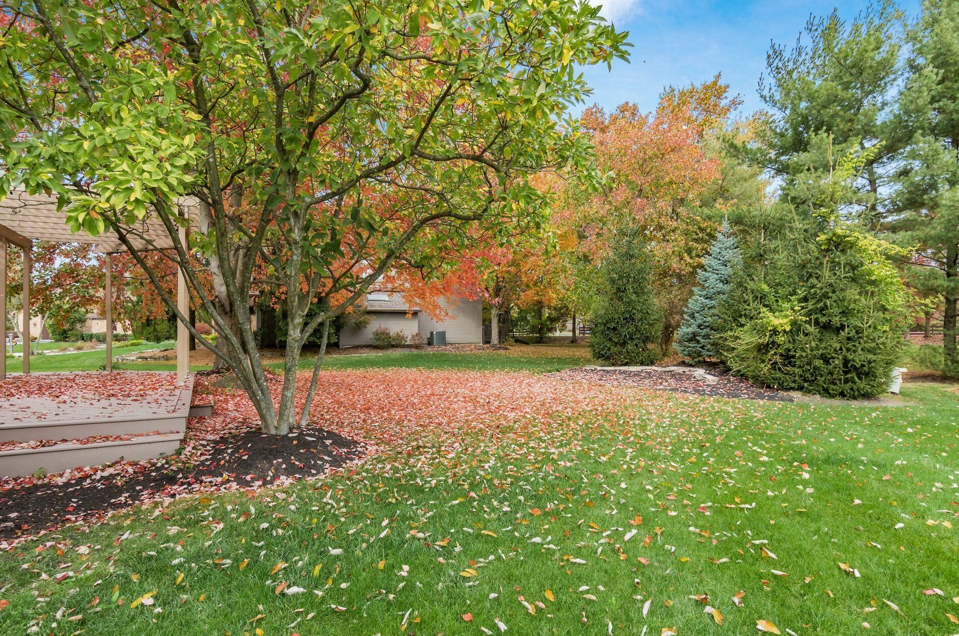 6168 Abbotsford Dr, Dublin OH  43017-8674 exterior