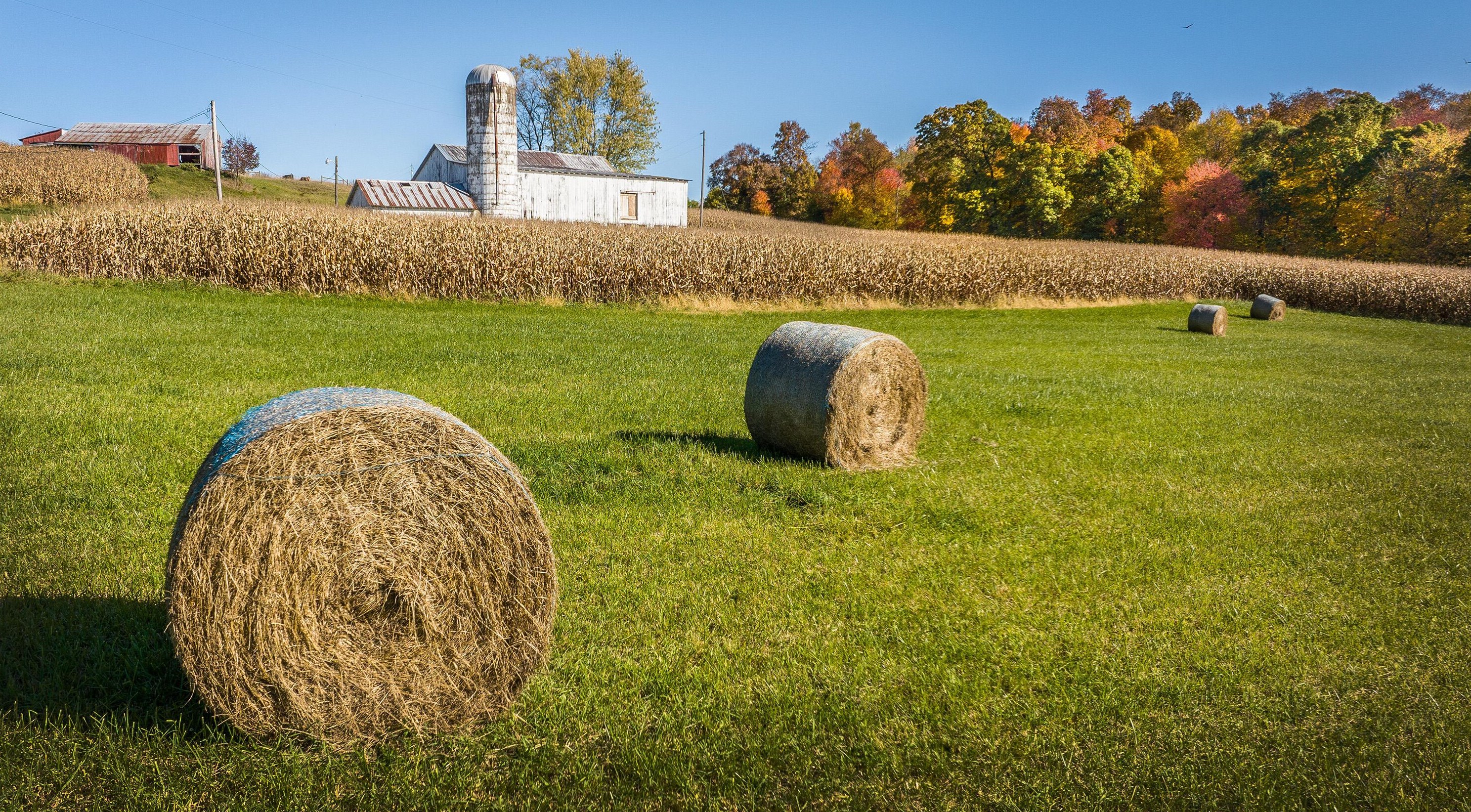 17700 Liberty Rd, Fredricktwn OH  43019-9784 exterior