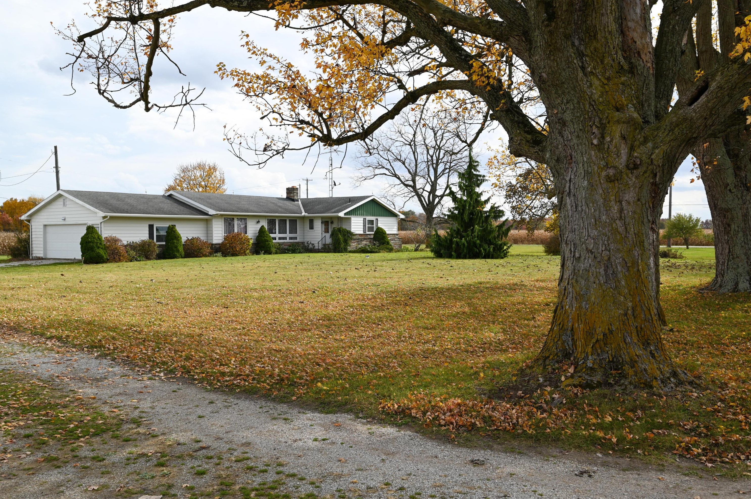 1486 Nesbitt Rd, Caledonia, OH 43314
