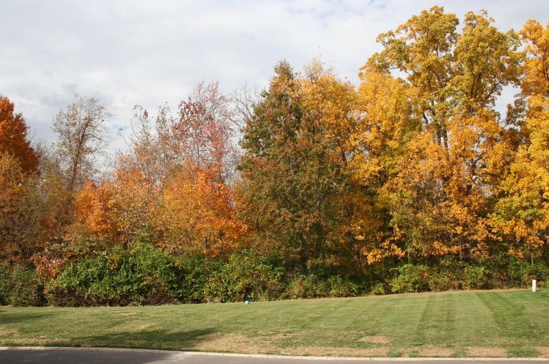 8209 Catalpa Ridge Dr, Blacklick, OH 43004-8278